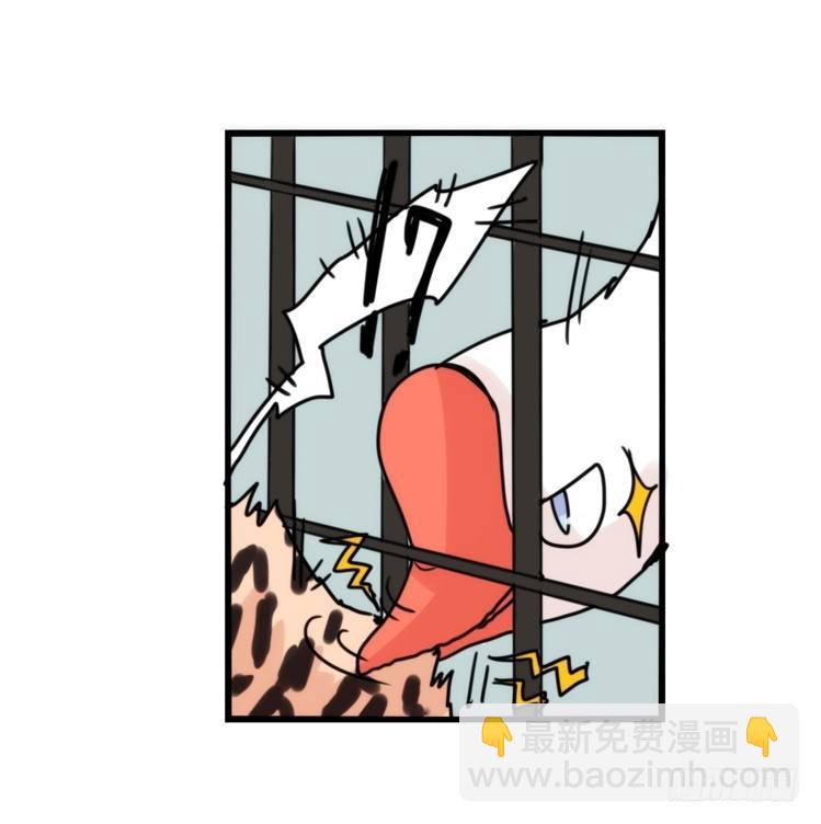 使命篇32：何去何从-第156话