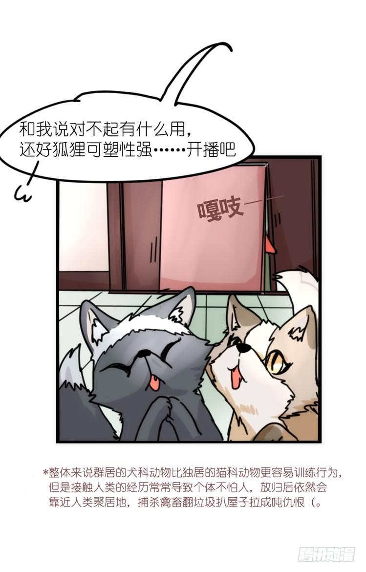 事业篇01：大戏开锣-第158话