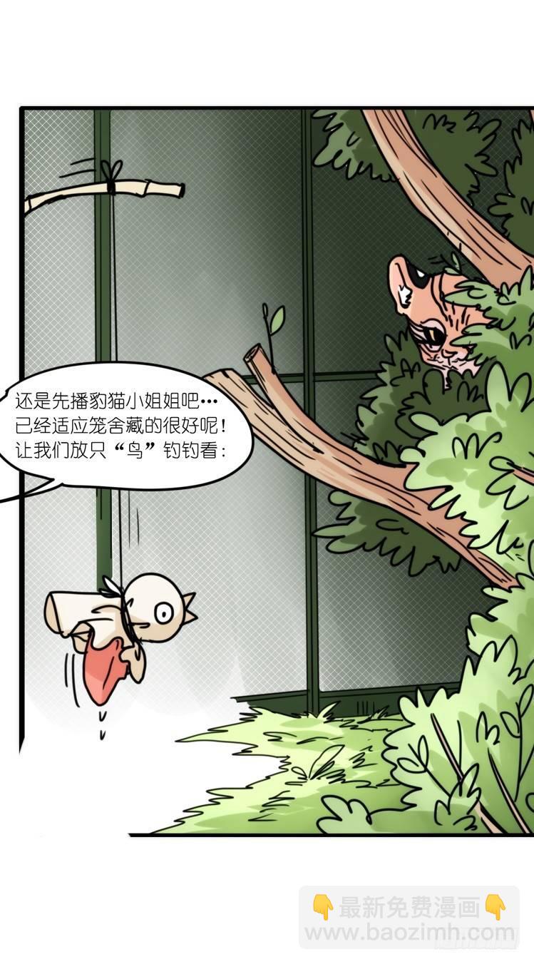 事业篇01：大戏开锣-第158话
