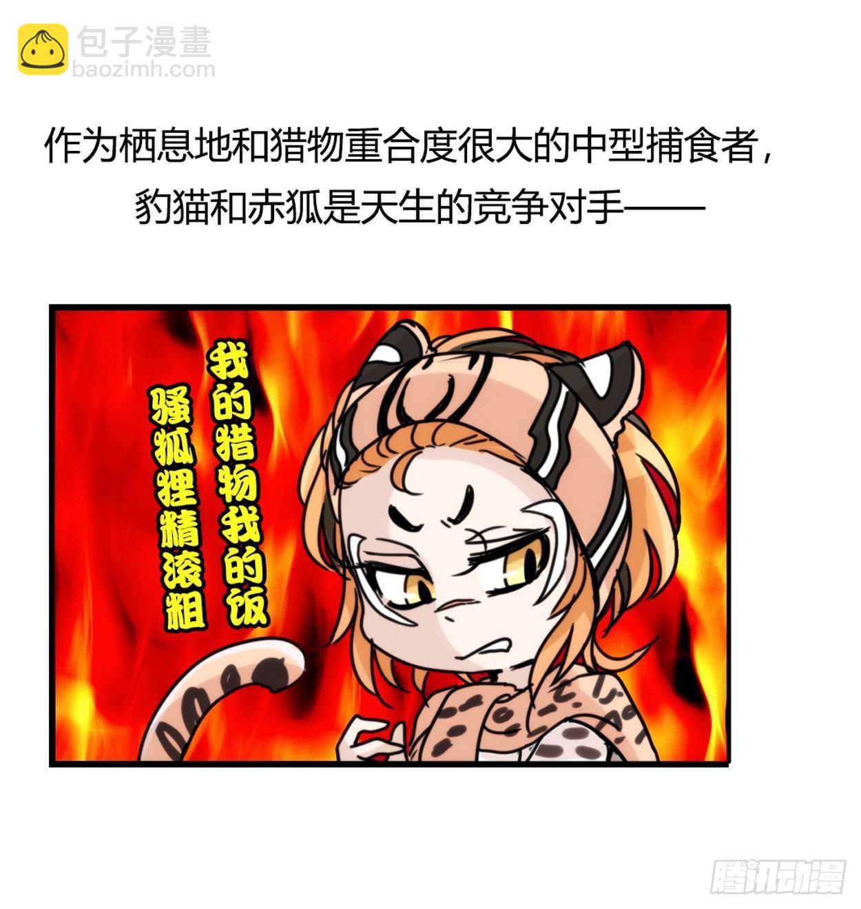 事业篇03：狐狐去哪儿了？-第160话