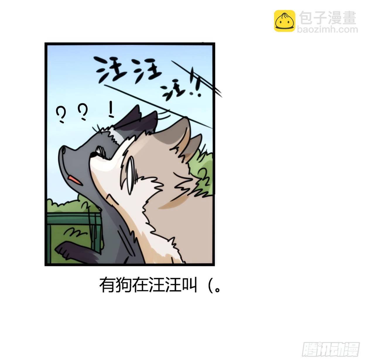 事业篇03：狐狐去哪儿了？-第160话
