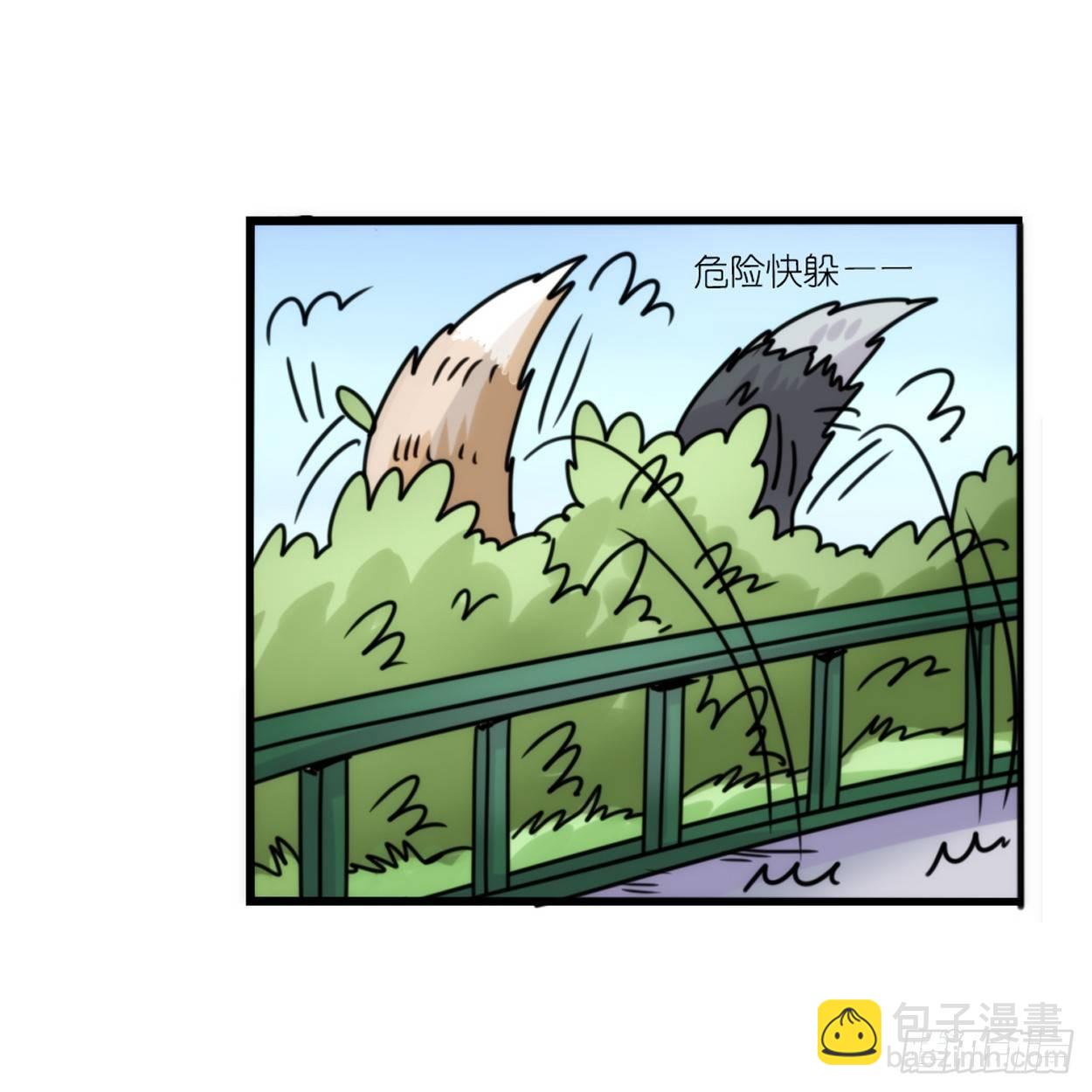 事业篇03：狐狐去哪儿了？-第160话