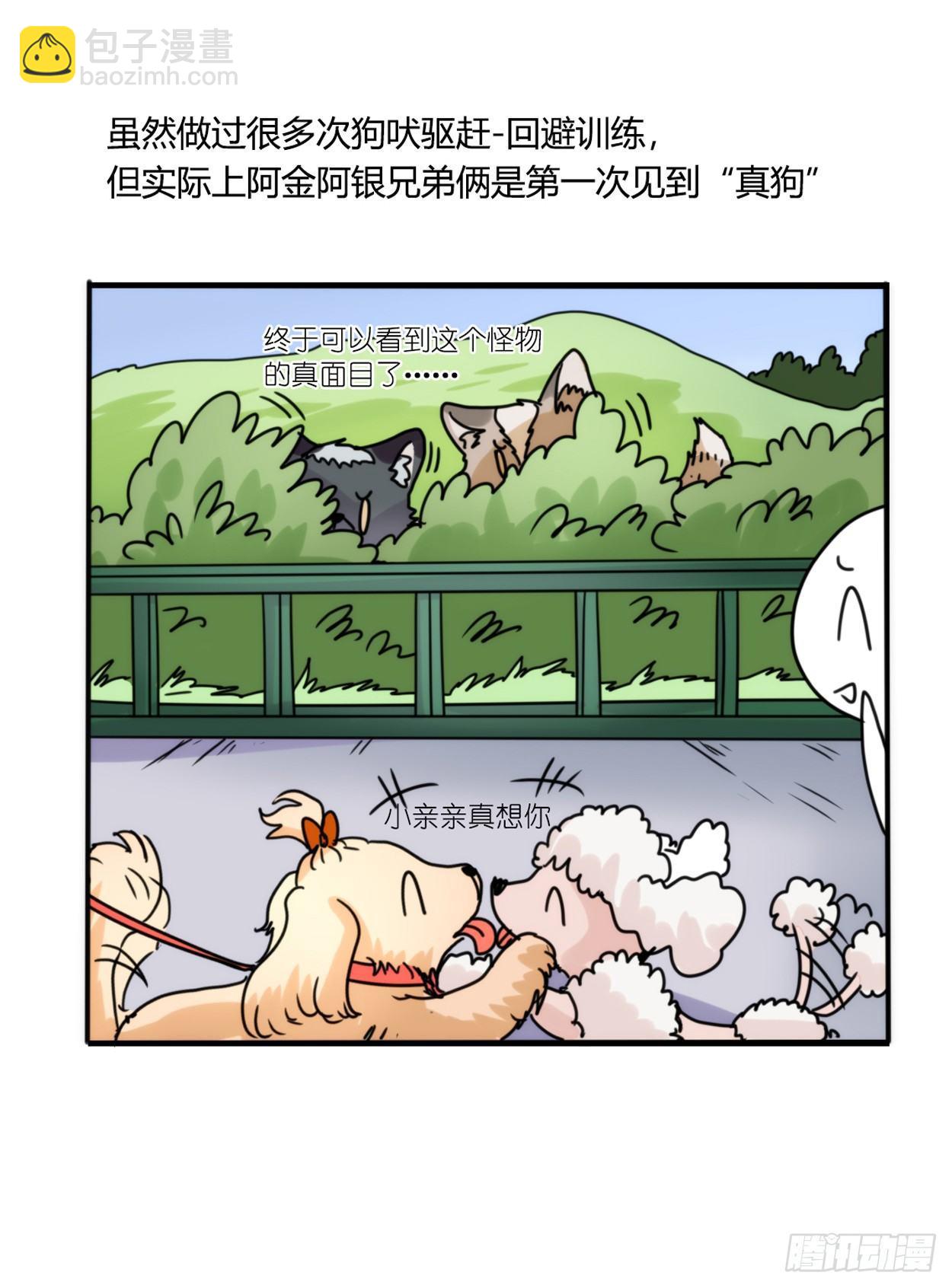 事业篇03：狐狐去哪儿了？-第160话