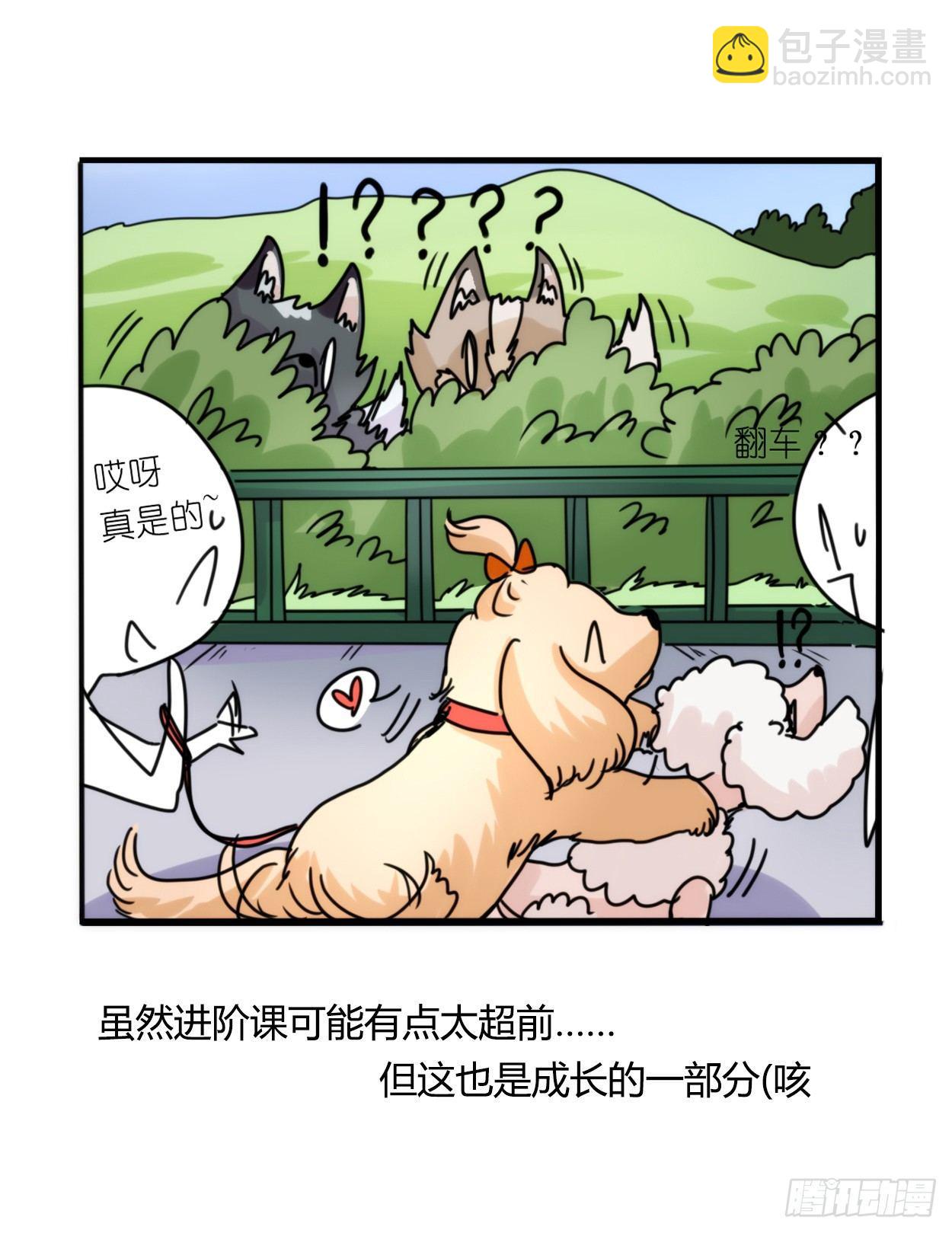 事业篇03：狐狐去哪儿了？-第160话