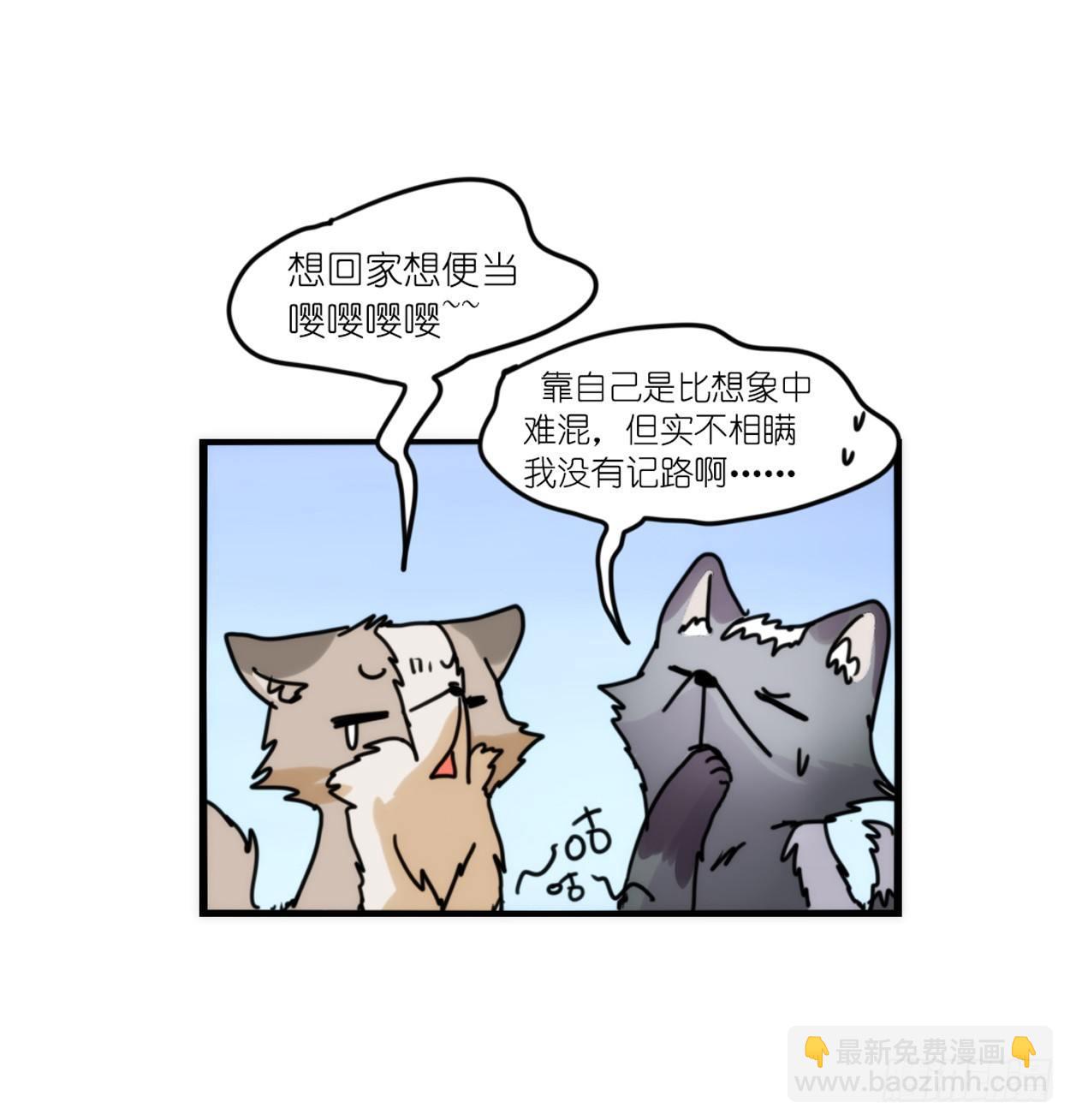 事业篇03：狐狐去哪儿了？-第160话