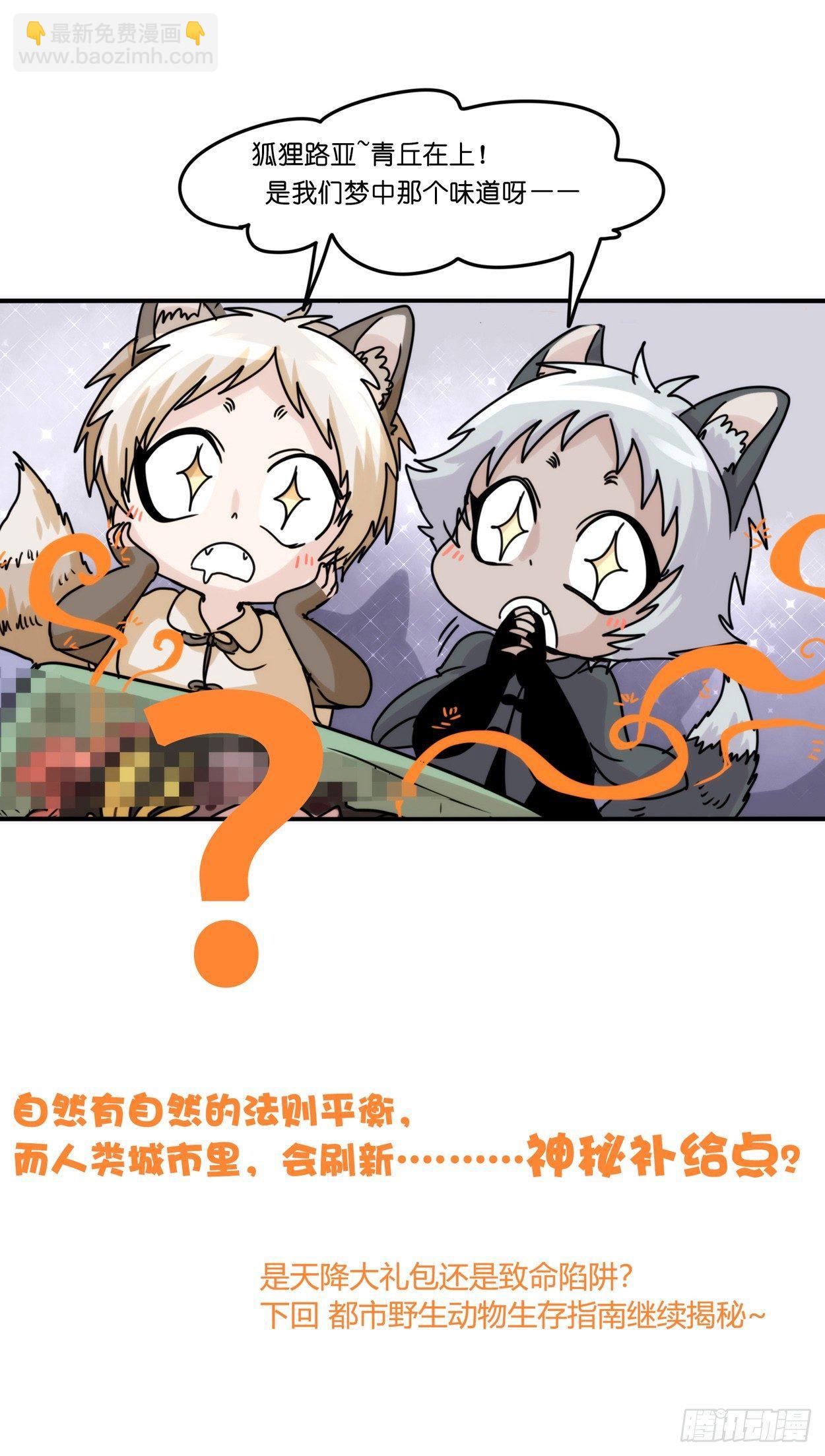 事业篇03：狐狐去哪儿了？-第160话