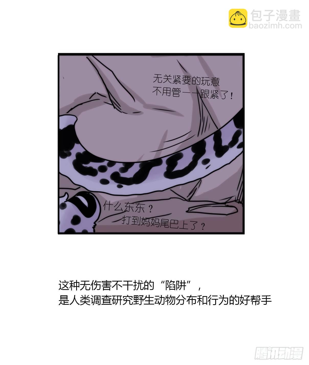 事业篇07：雪豹成为偶像！-1-第164话