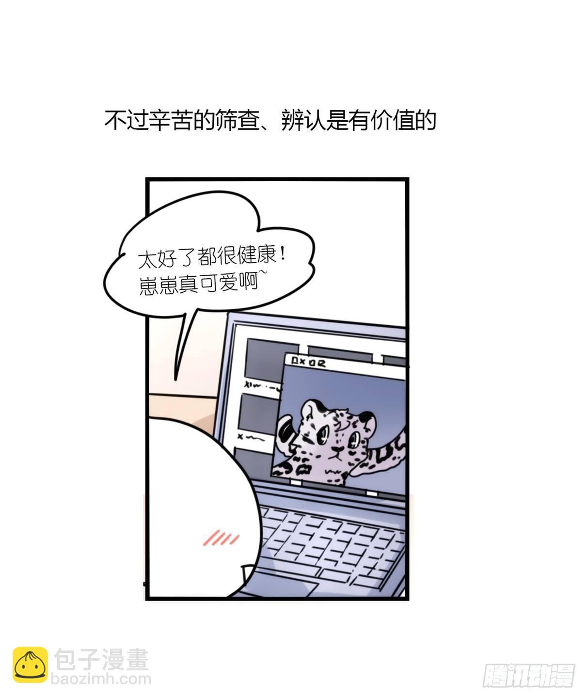 事业篇07：雪豹成为偶像！-1-第164话