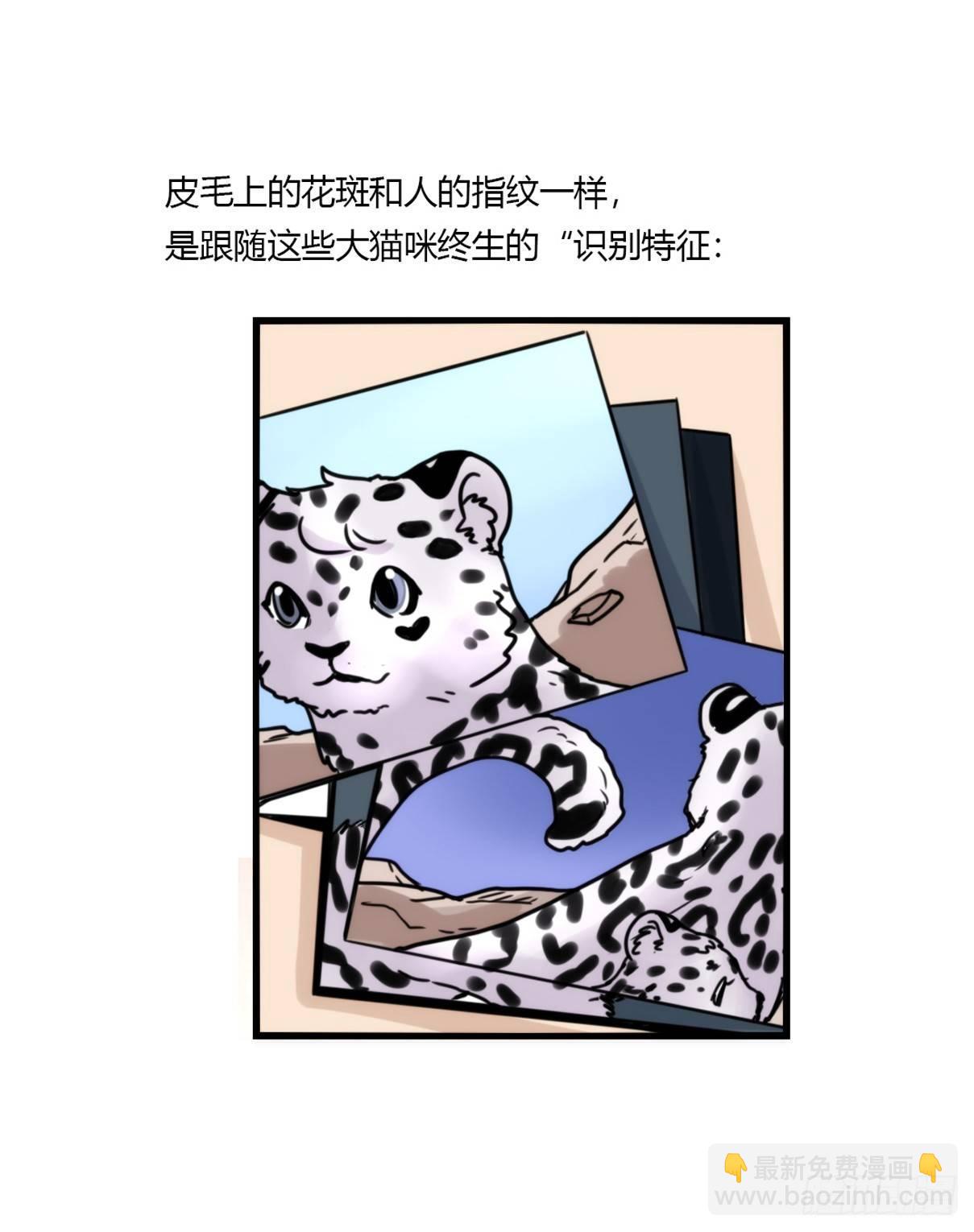事业篇07：雪豹成为偶像！-1-第164话