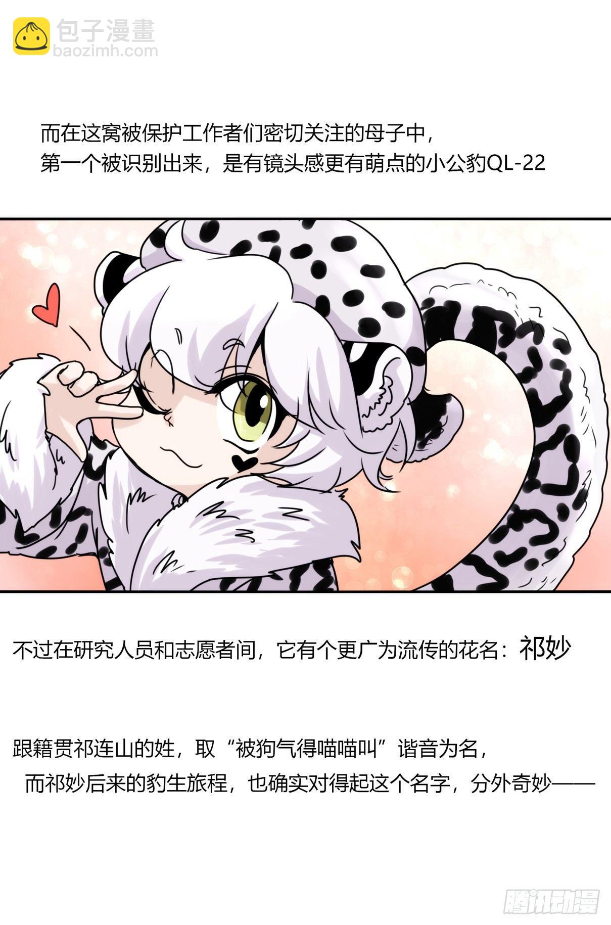 事业篇07：雪豹成为偶像！-1-第164话