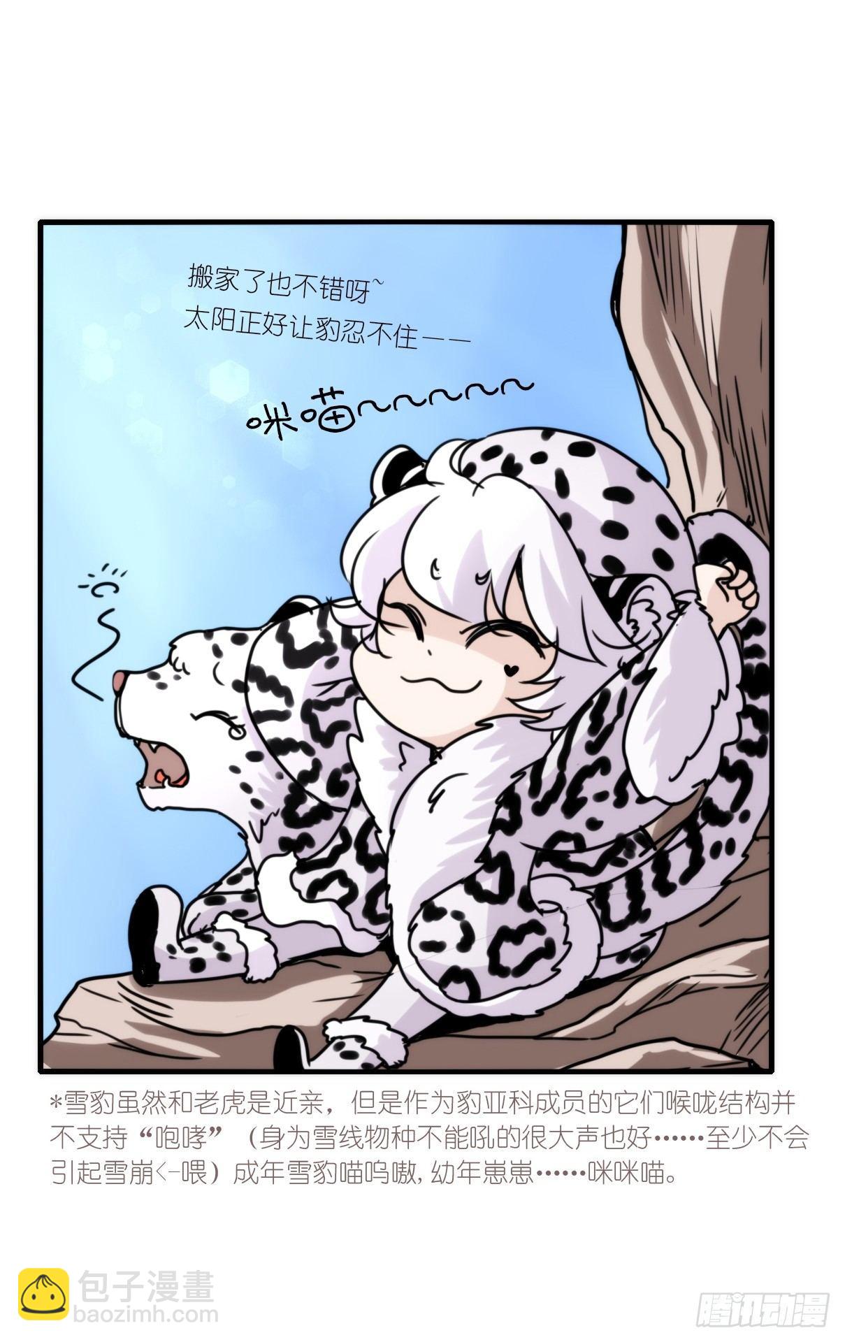 事业篇07：雪豹成为偶像！-1-第164话