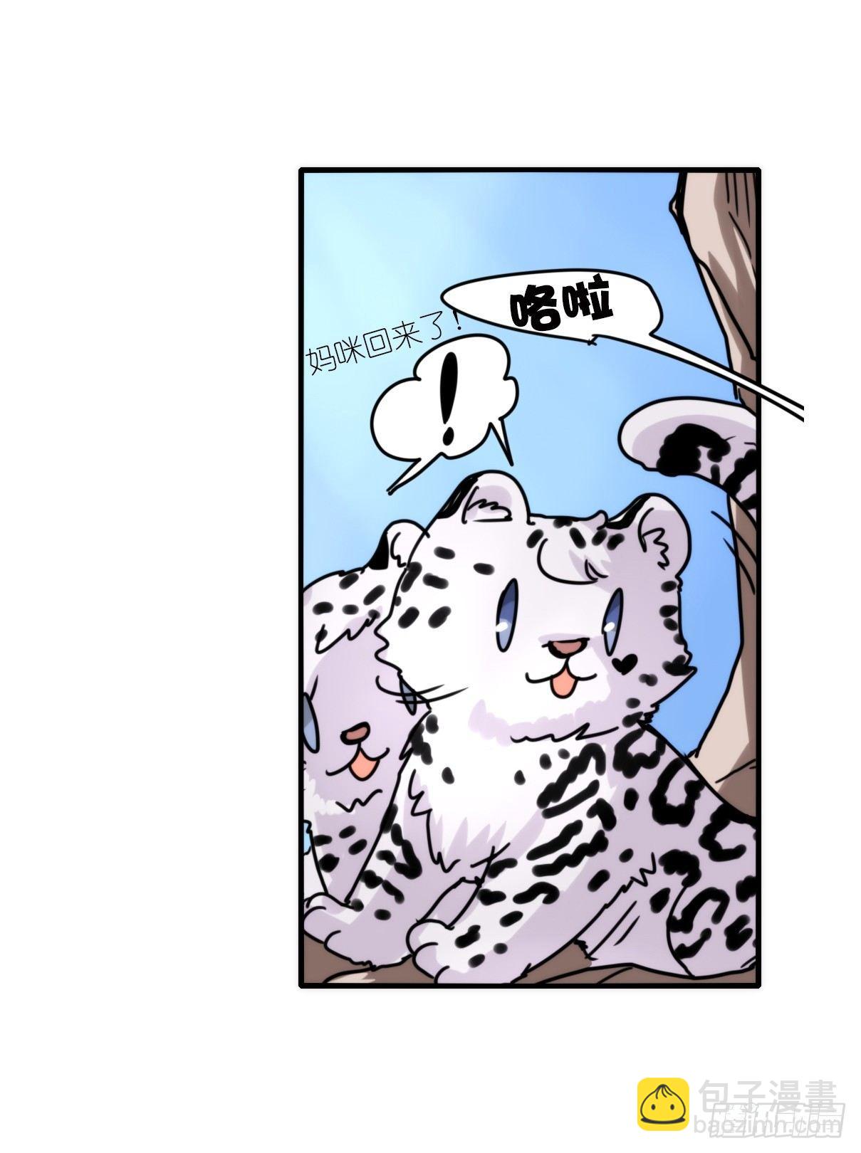 事业篇07：雪豹成为偶像！-1-第164话