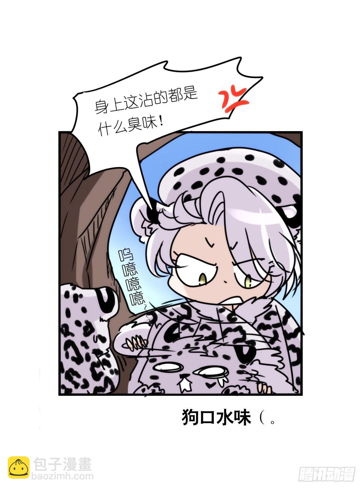 事业篇07：雪豹成为偶像！-1-第164话