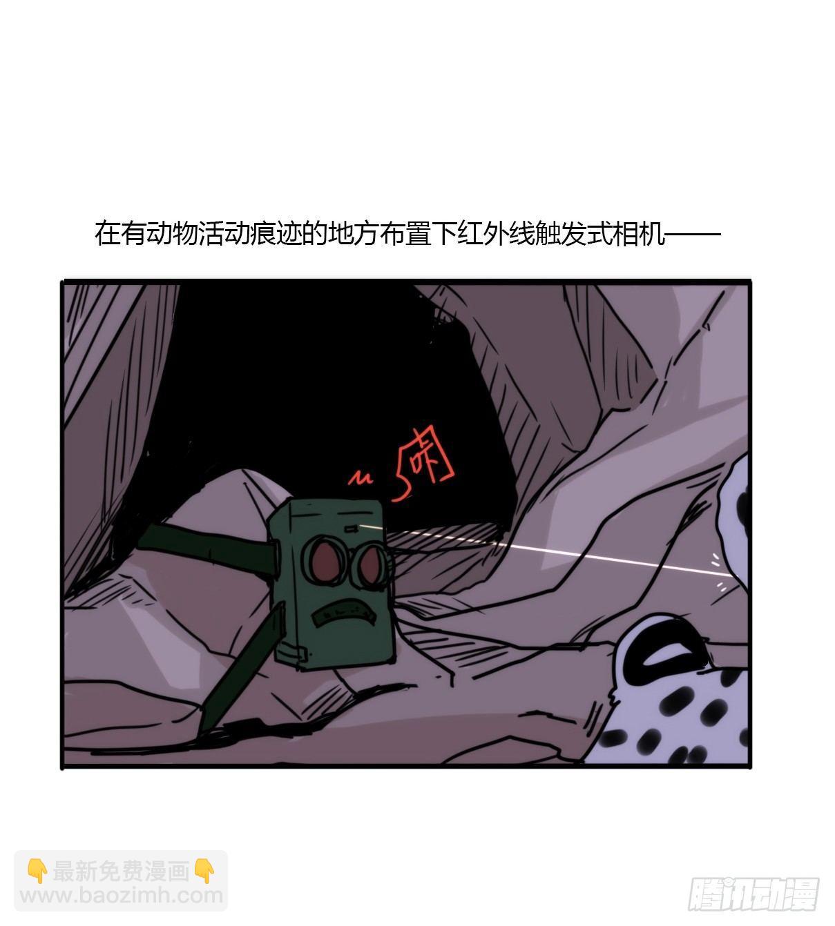 事业篇07：雪豹成为偶像！-1-第164话
