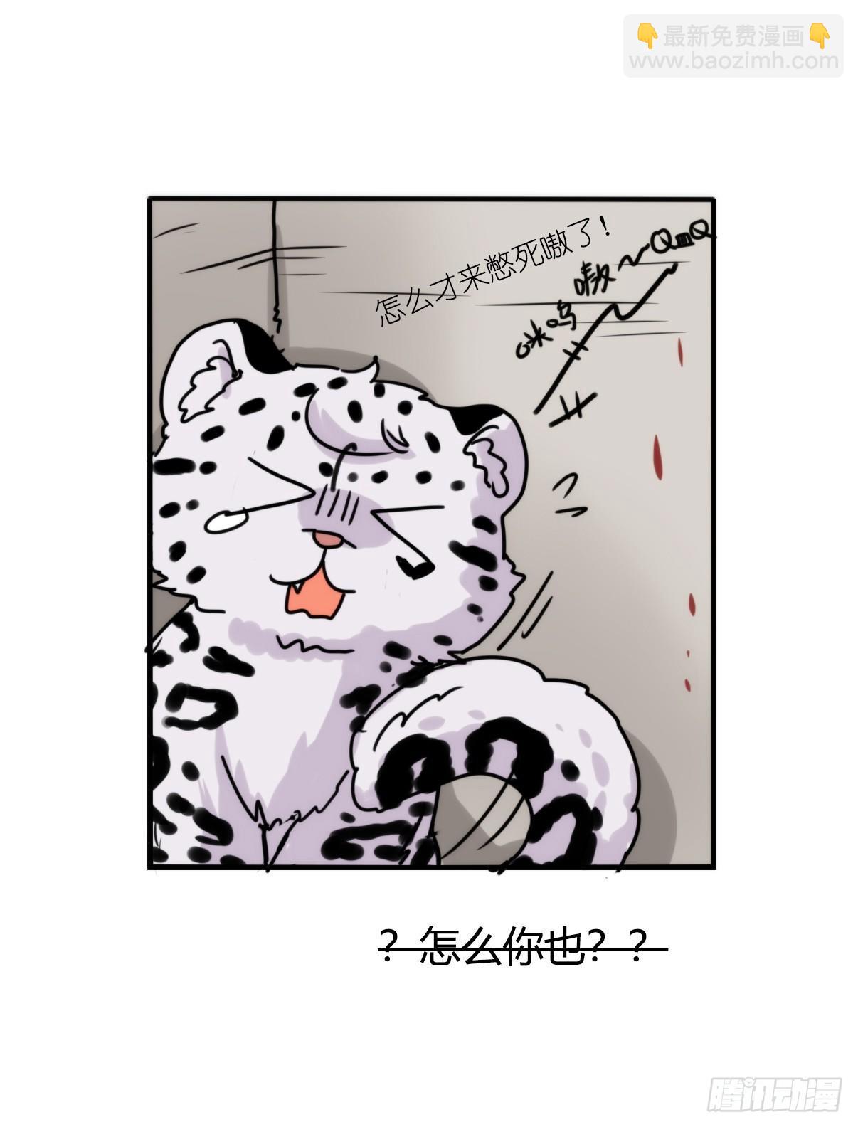 事业篇09：雪豹成为偶像！-3-第166话