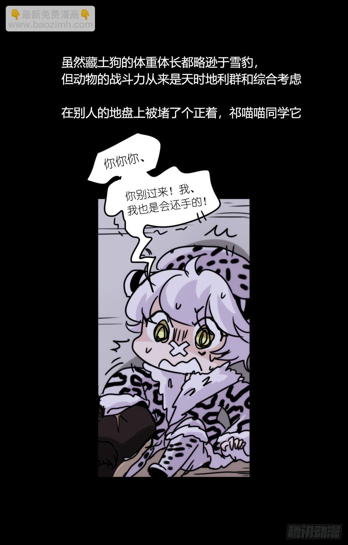 事业篇09：雪豹成为偶像！-3-第166话