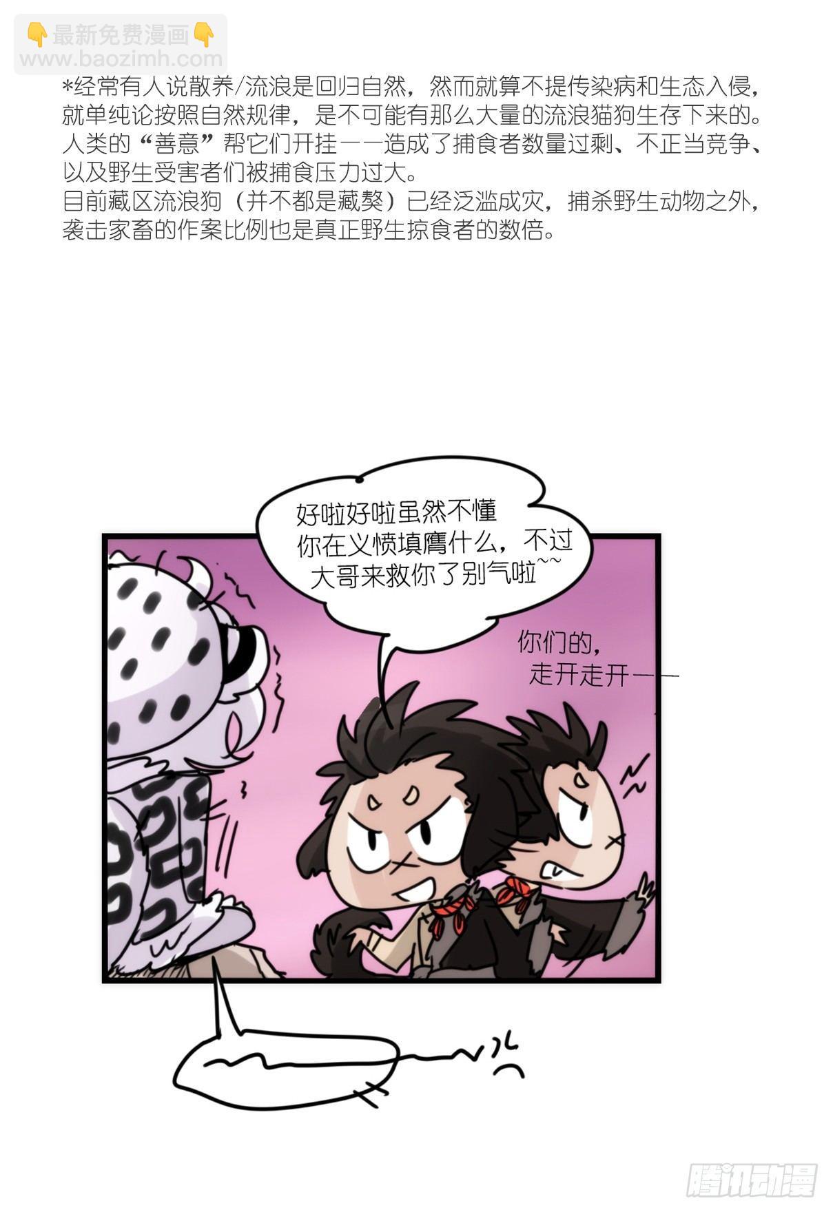 事业篇11：雪豹成为偶像！-5-第168话