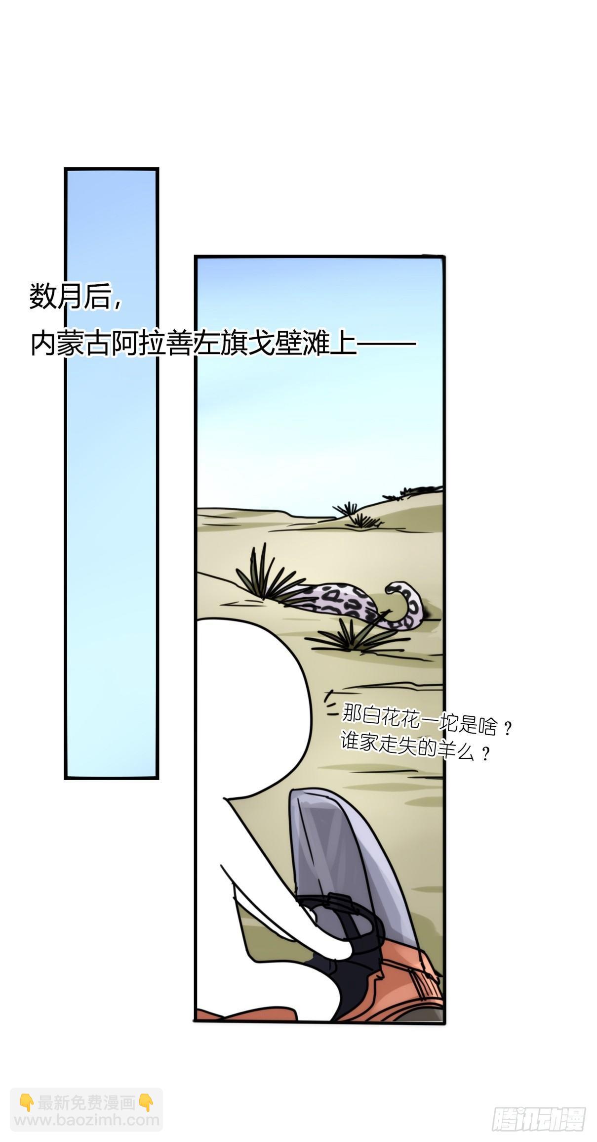 事业篇11：雪豹成为偶像！-5-第168话