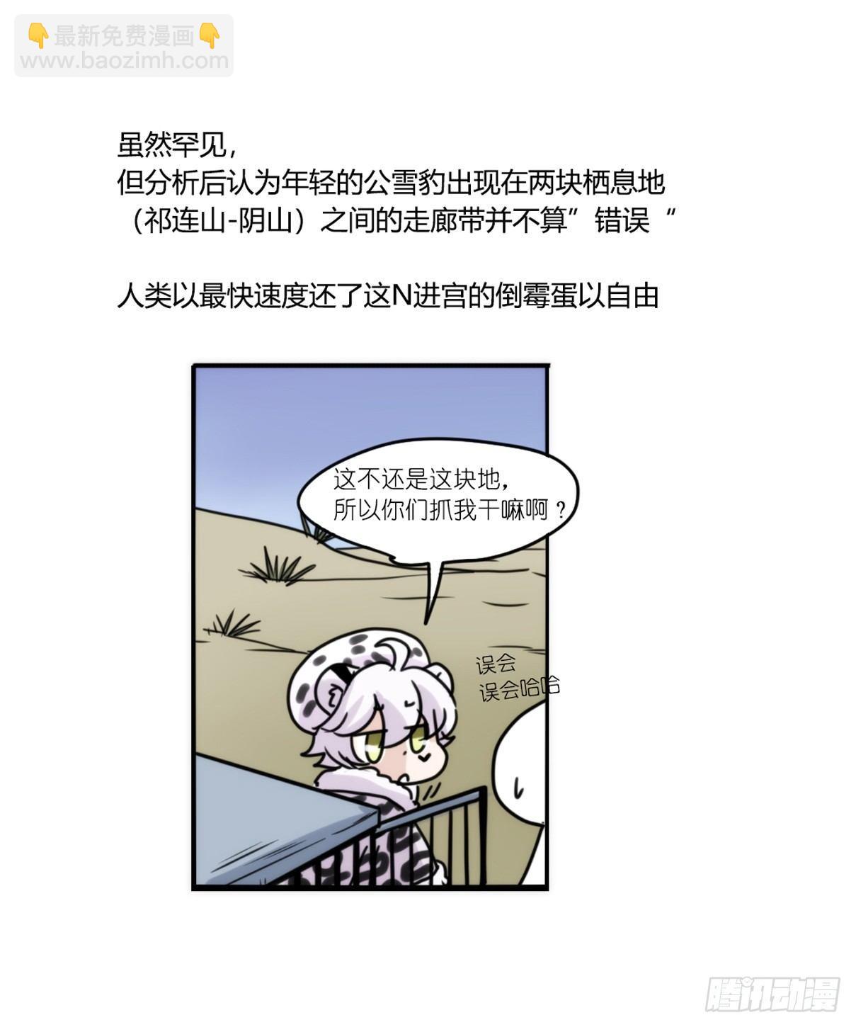 事业篇11：雪豹成为偶像！-5-第168话