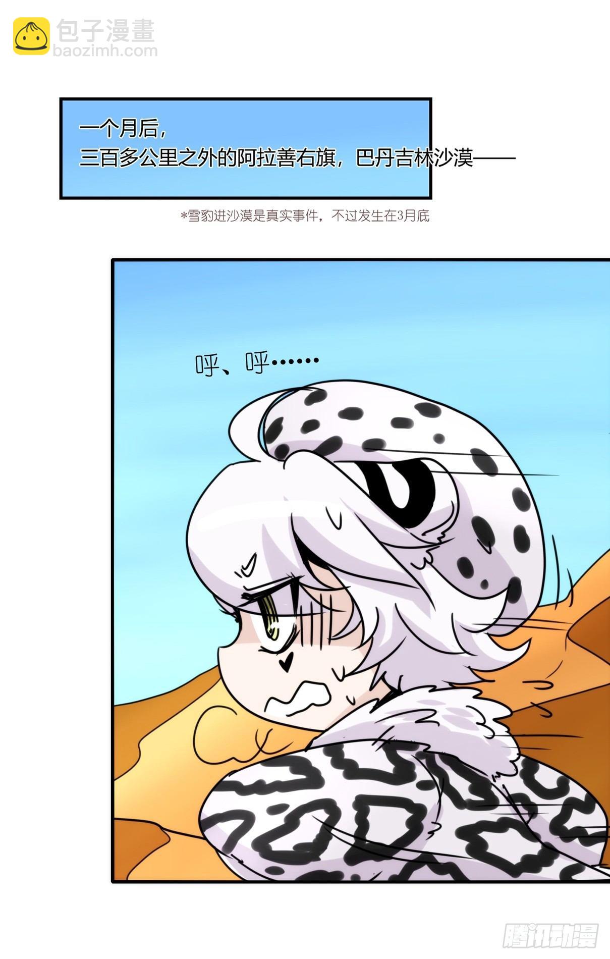 事业篇11：雪豹成为偶像！-5-第168话
