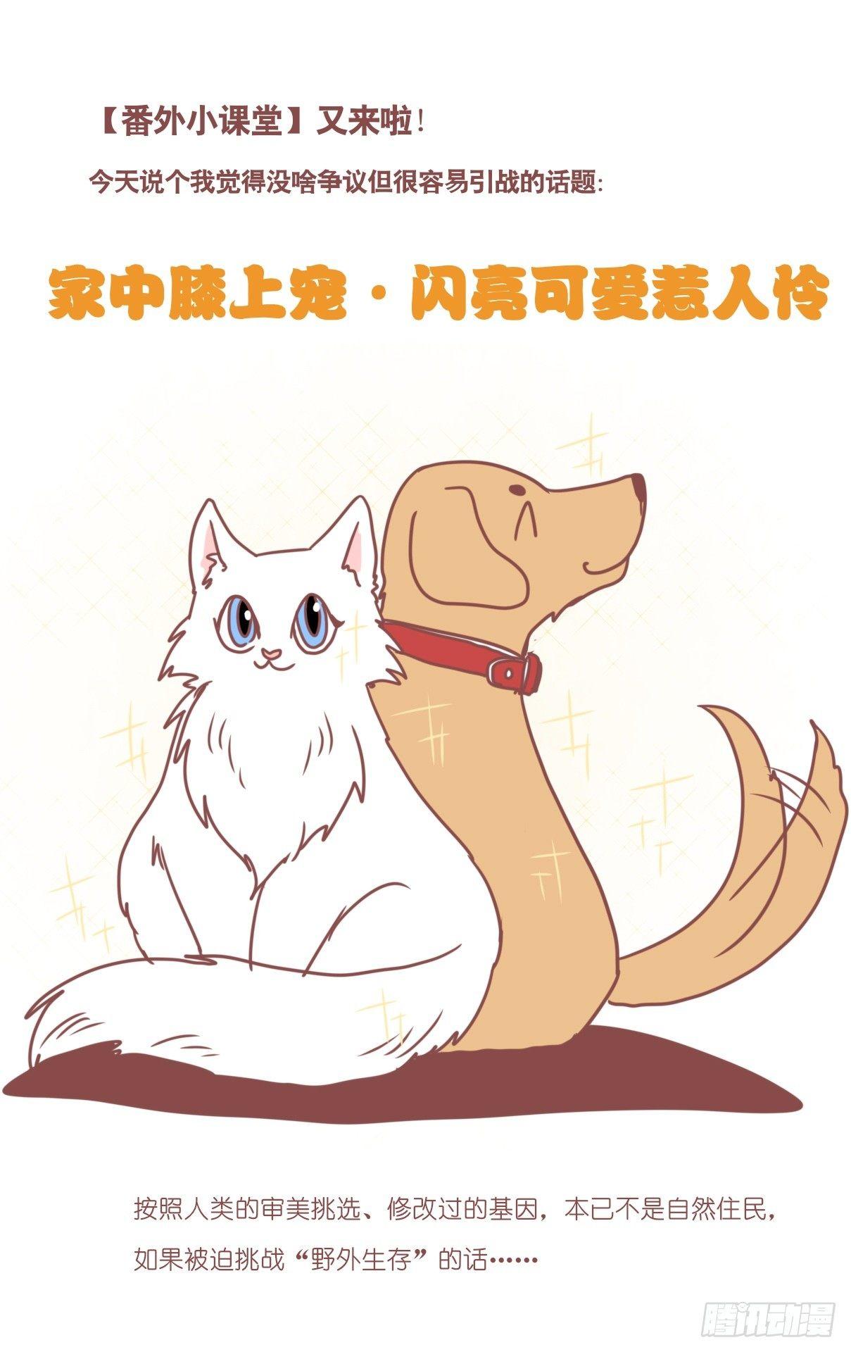 事业篇11：雪豹成为偶像！-5-第168话