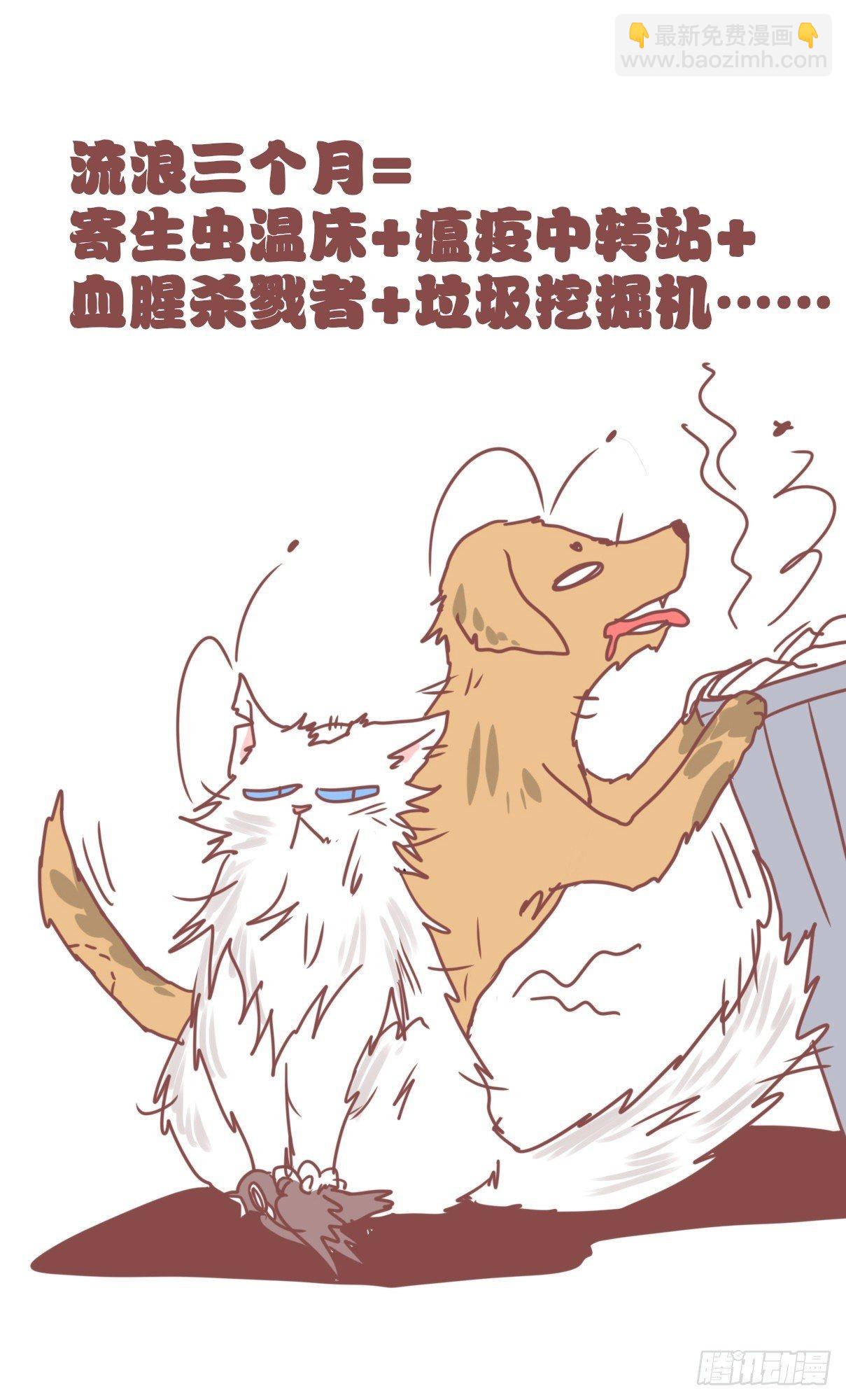 事业篇11：雪豹成为偶像！-5-第168话