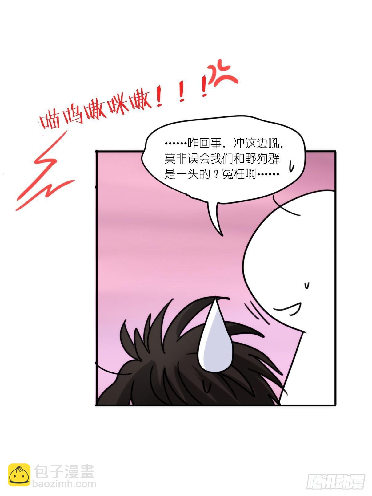 事业篇11：雪豹成为偶像！-5-第168话