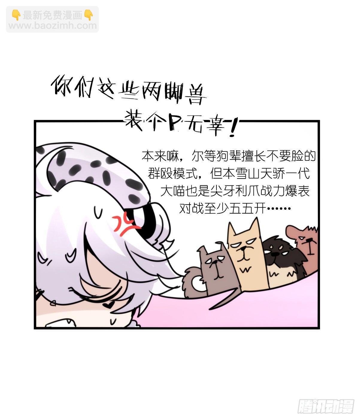 事业篇11：雪豹成为偶像！-5-第168话