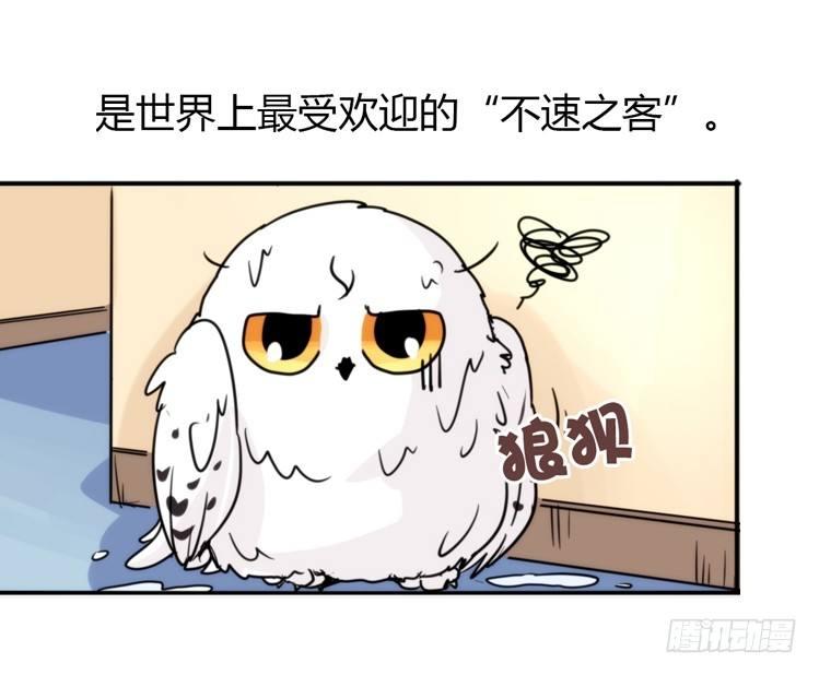飞吧小少爷：不速之客？-第18话