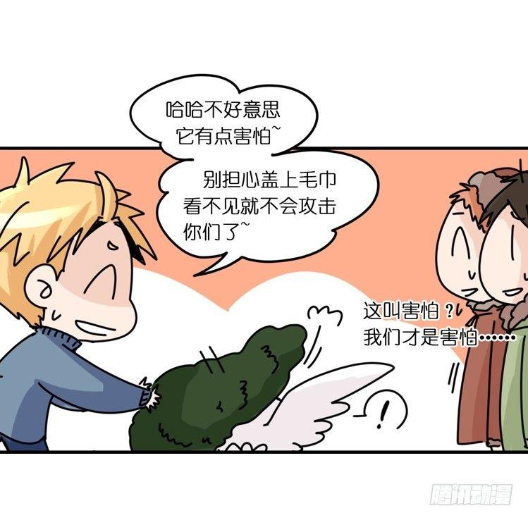 飞吧小少爷：不速之客？-第18话