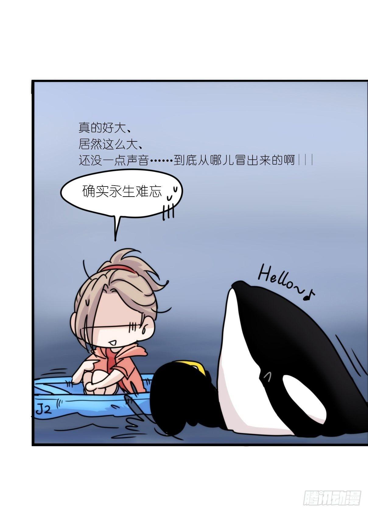 虎鲸篇：这些杀手不太冷01-第174话