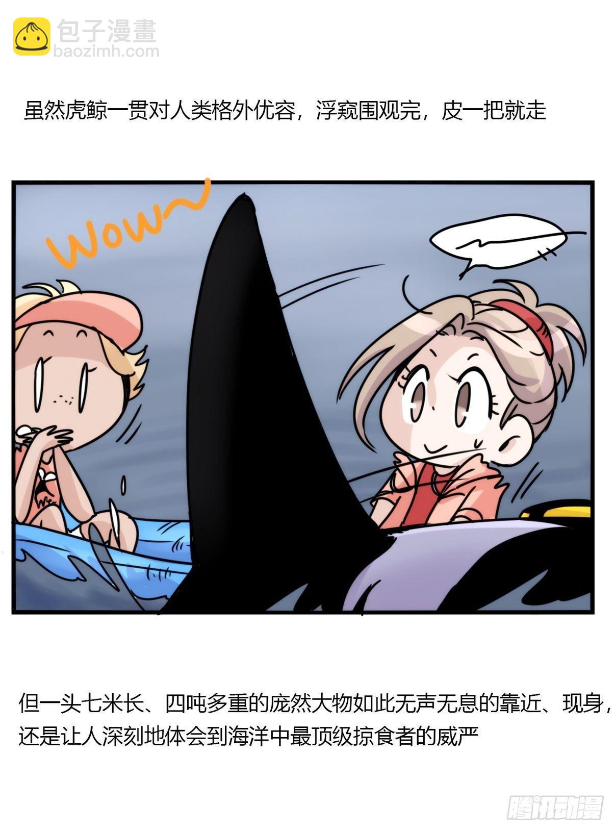 虎鲸篇：这些杀手不太冷01-第174话
