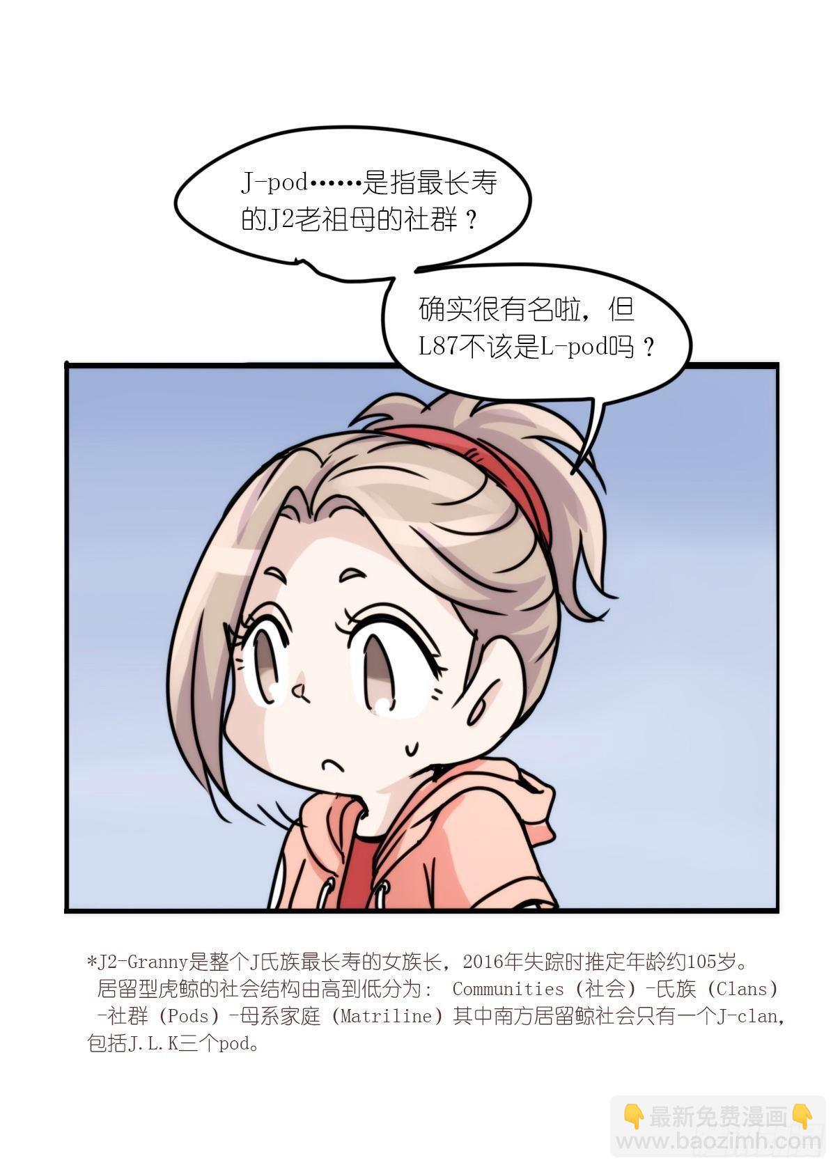 虎鲸篇：这些杀手不太冷01-第174话