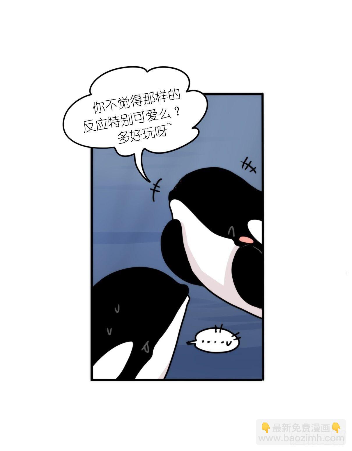 虎鲸篇：这些杀手不太冷01-第174话
