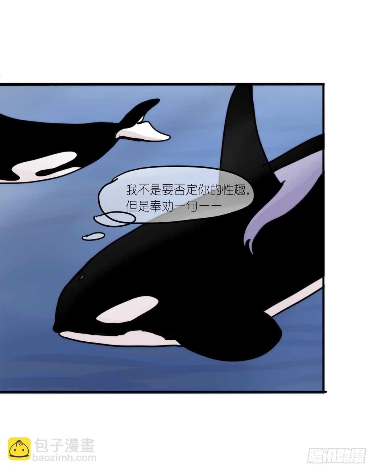 虎鲸篇：这些杀手不太冷01-第174话