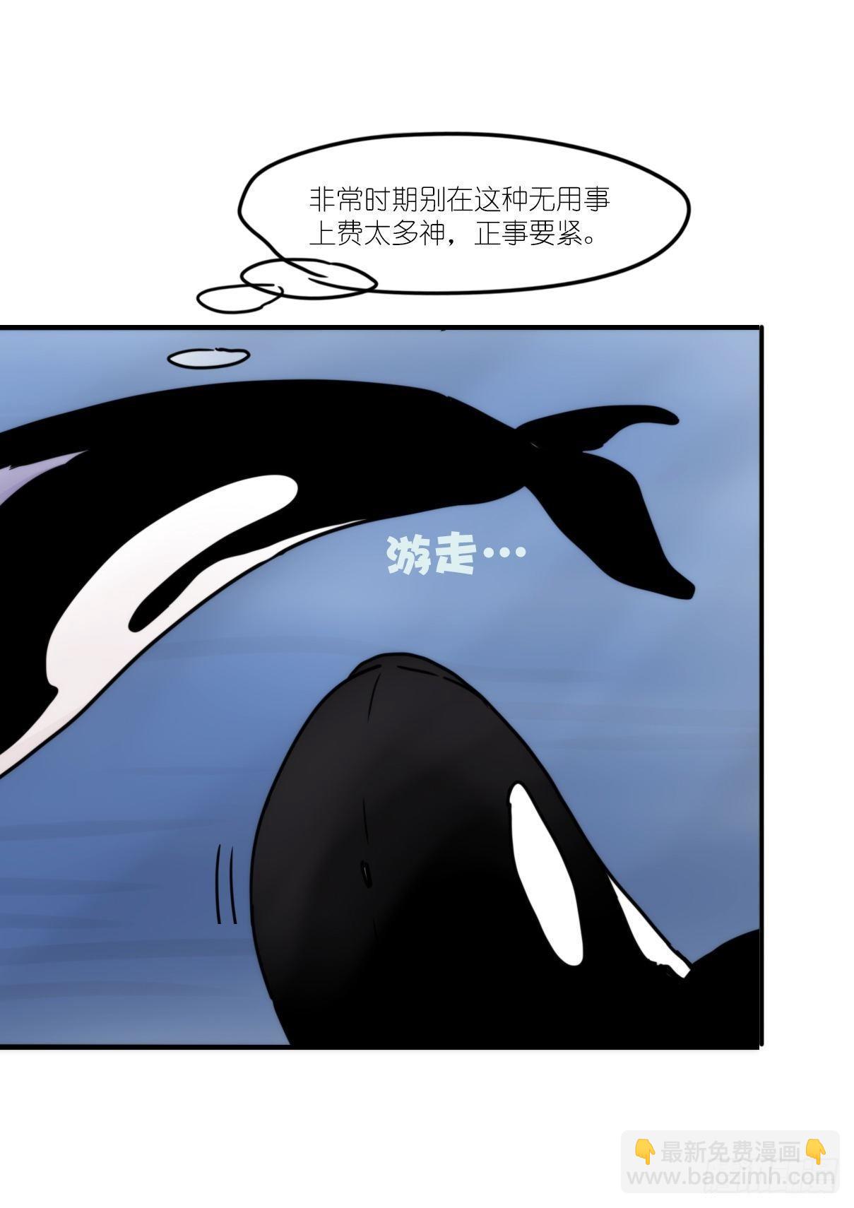 虎鲸篇：这些杀手不太冷01-第174话