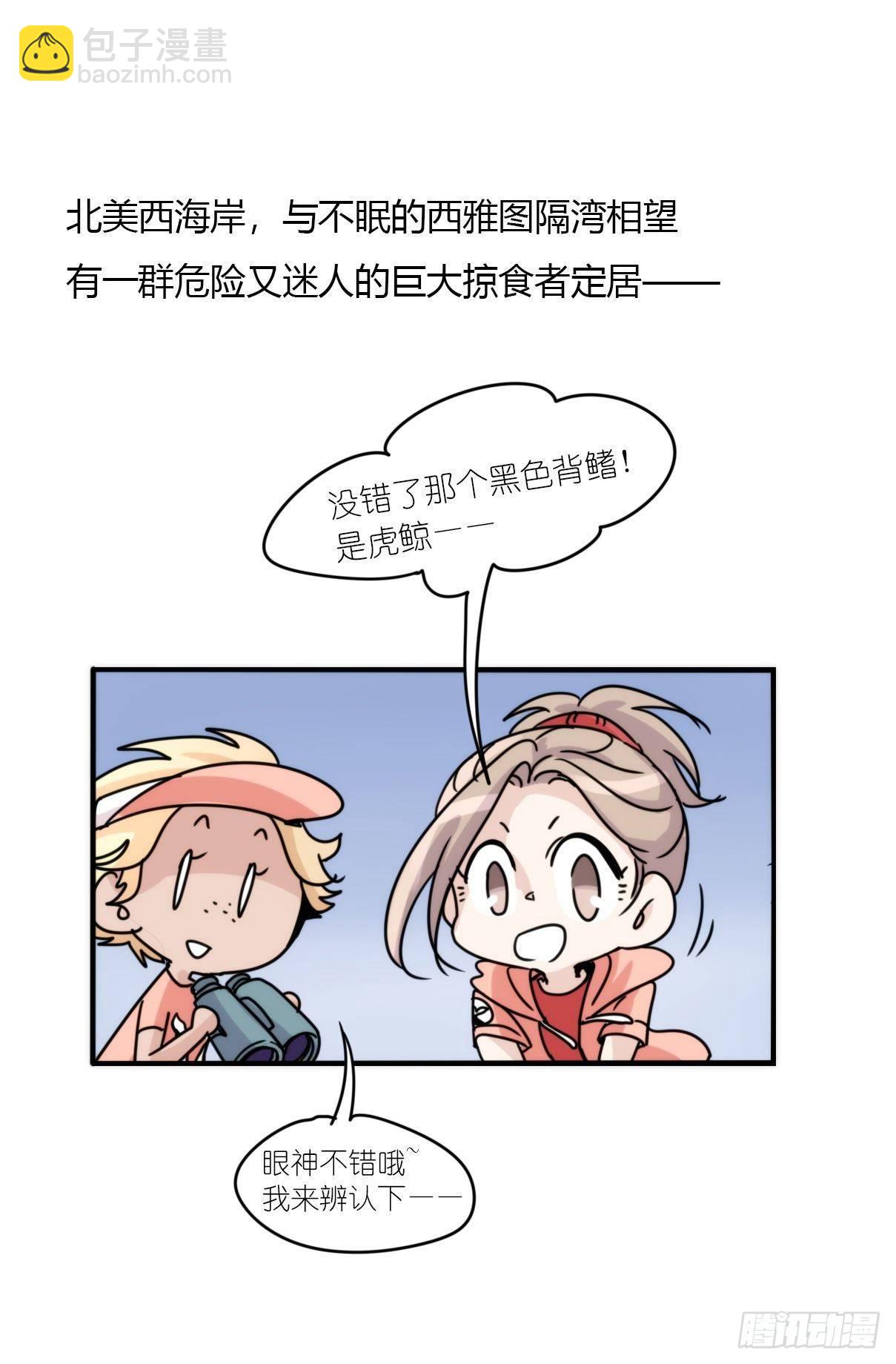 虎鲸篇：这些杀手不太冷01-第174话
