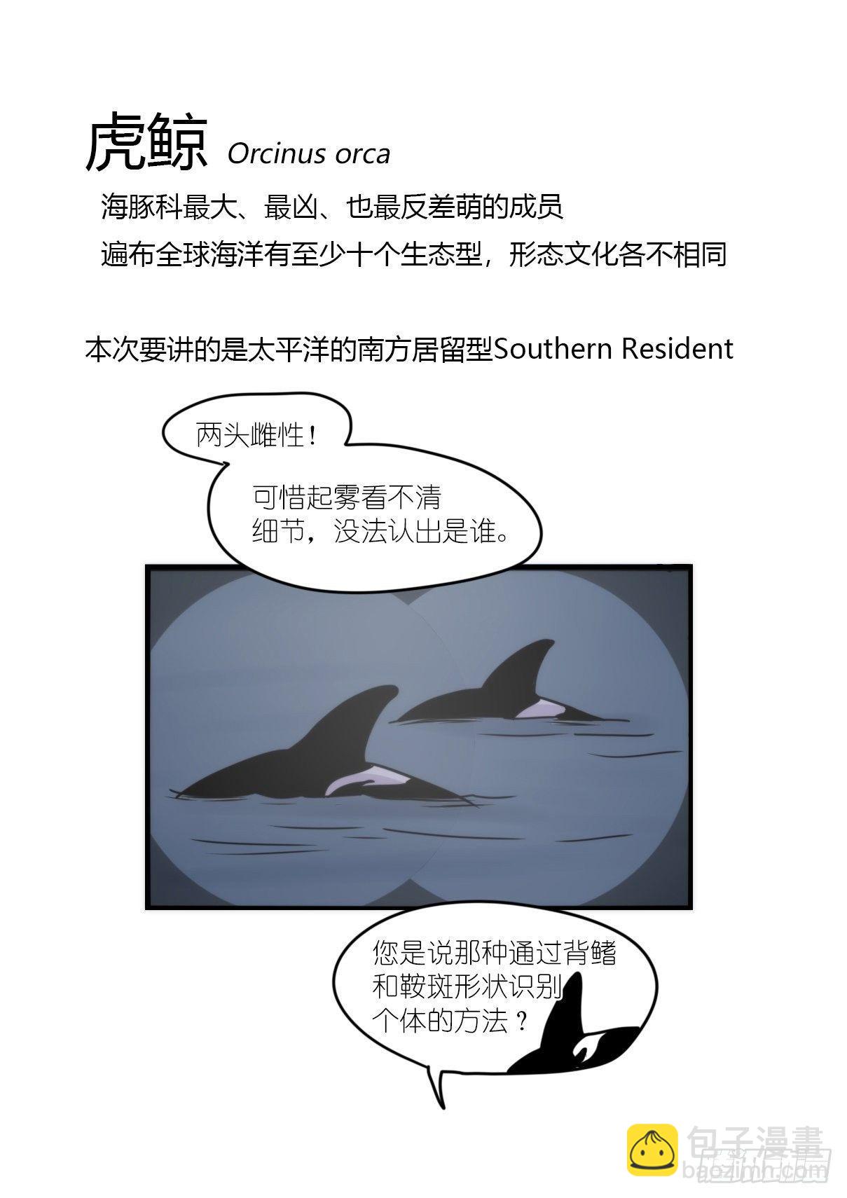 虎鲸篇：这些杀手不太冷01-第174话