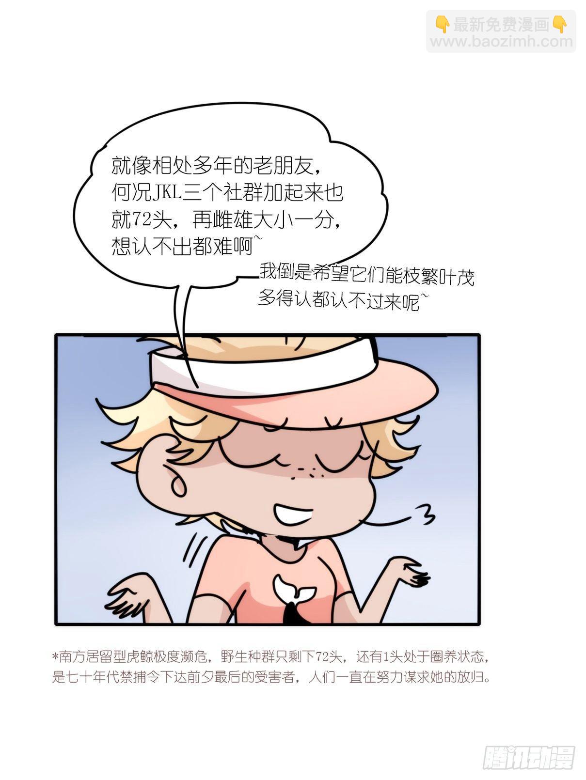 虎鲸篇：这些杀手不太冷01-第174话