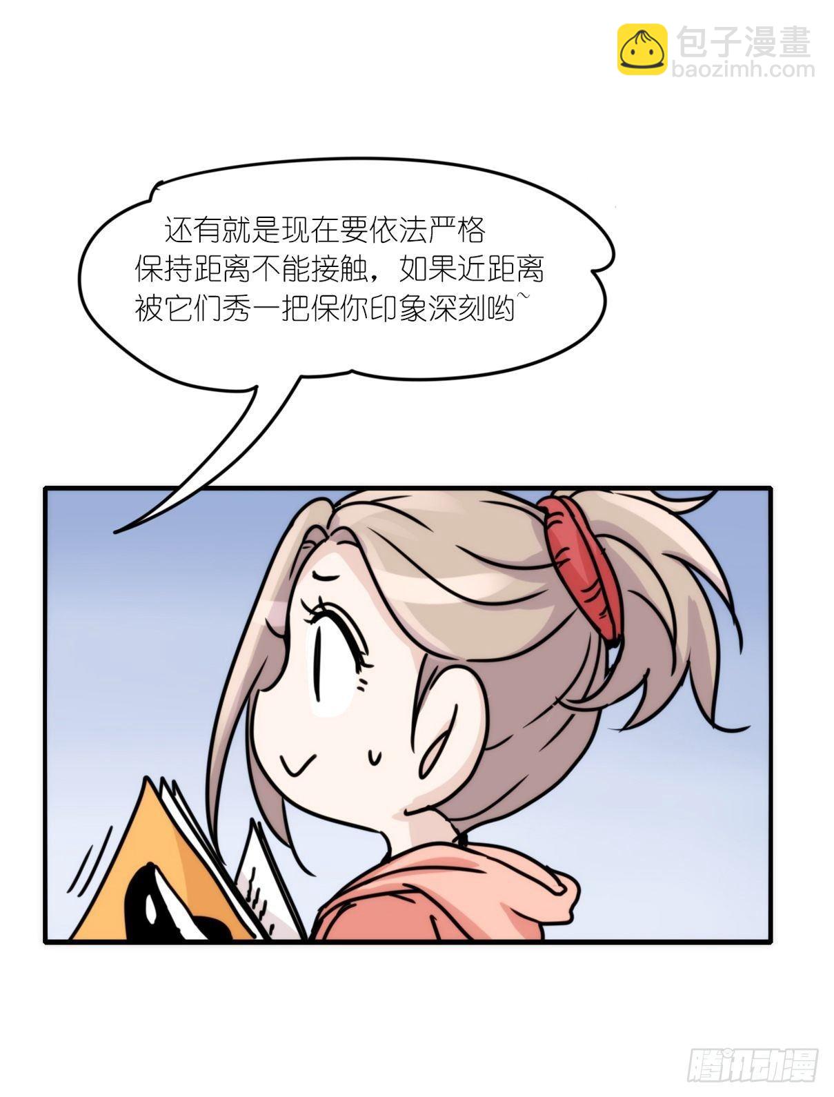 虎鲸篇：这些杀手不太冷01-第174话