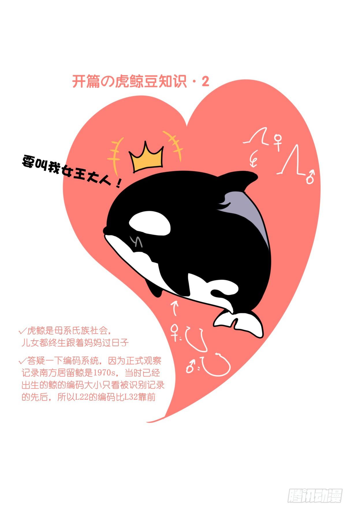 虎鲸篇：这些杀手不太冷03-第176话
