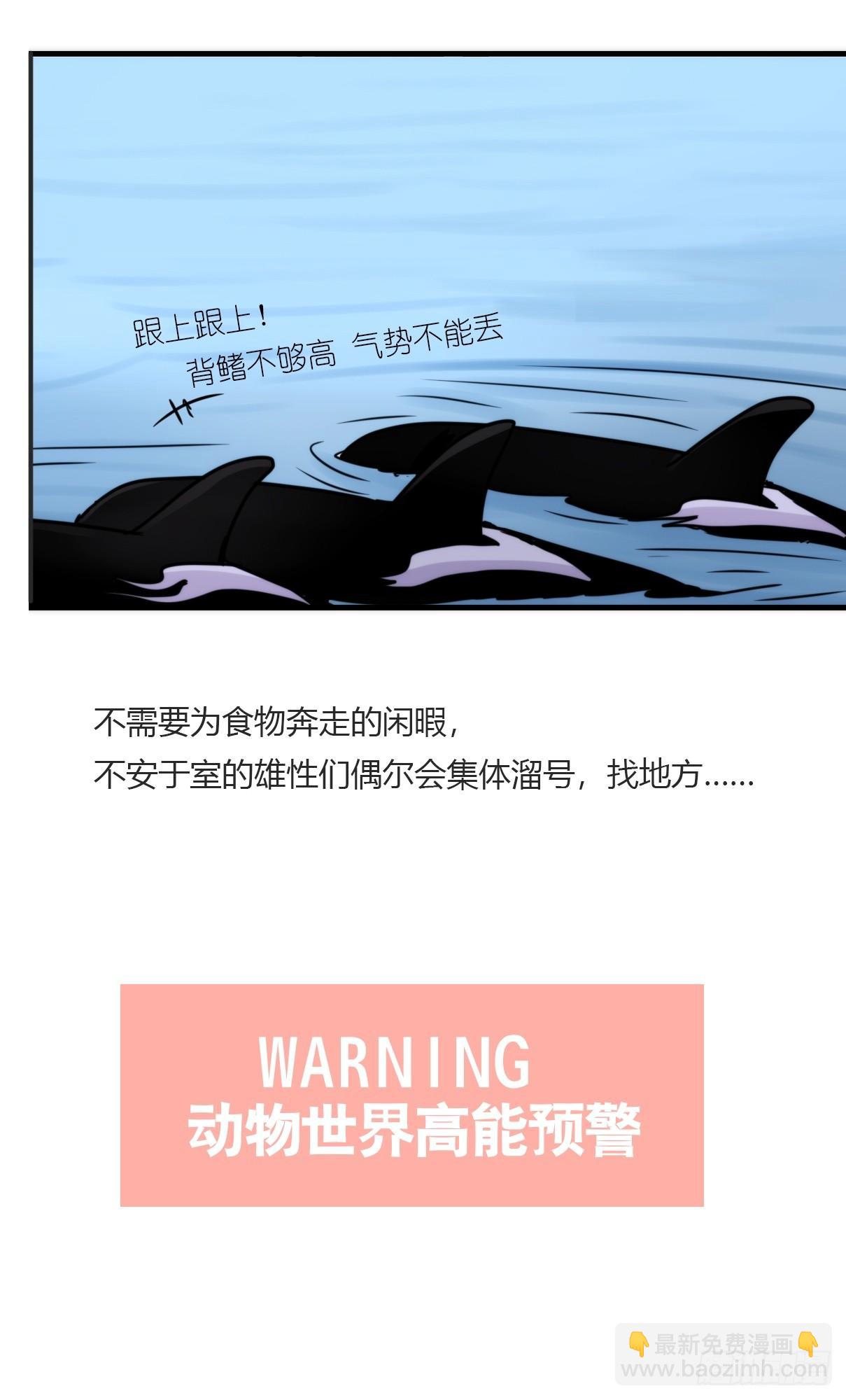 虎鲸篇：这些杀手不太冷03-第176话