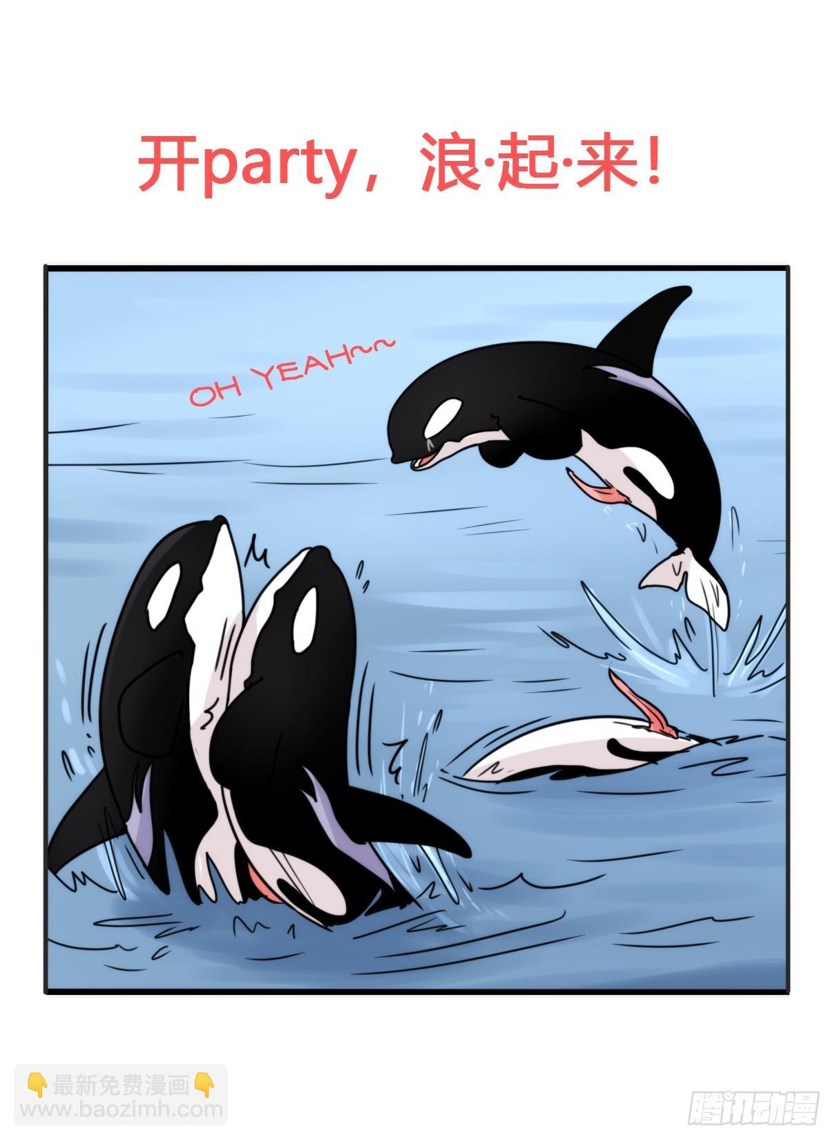 虎鲸篇：这些杀手不太冷03-第176话