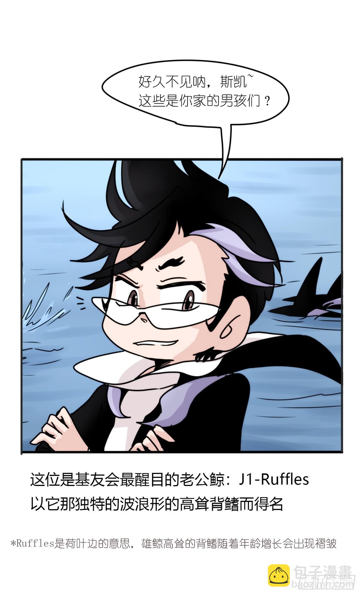 虎鲸篇：这些杀手不太冷03-第176话