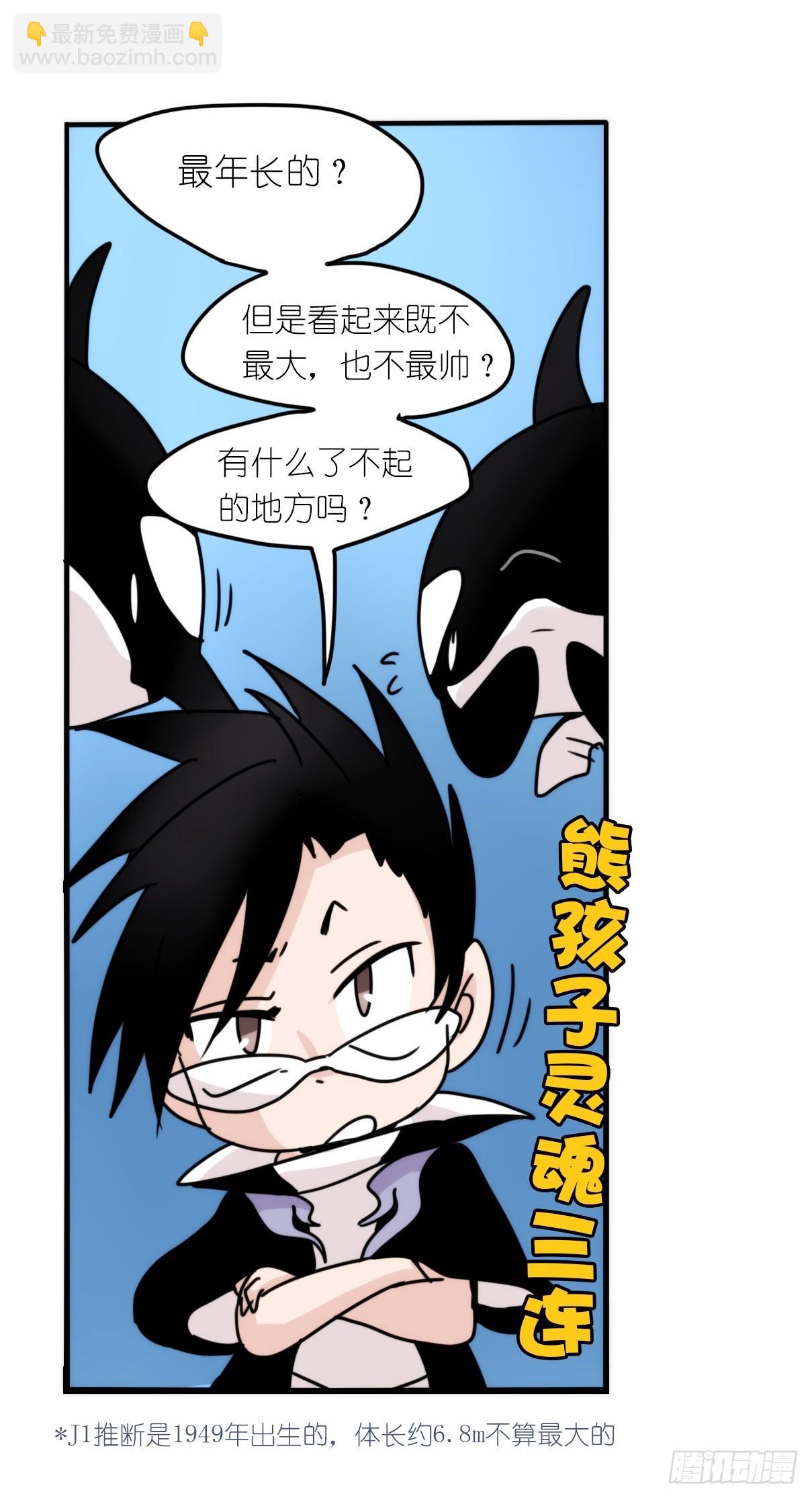 虎鲸篇：这些杀手不太冷03-第176话