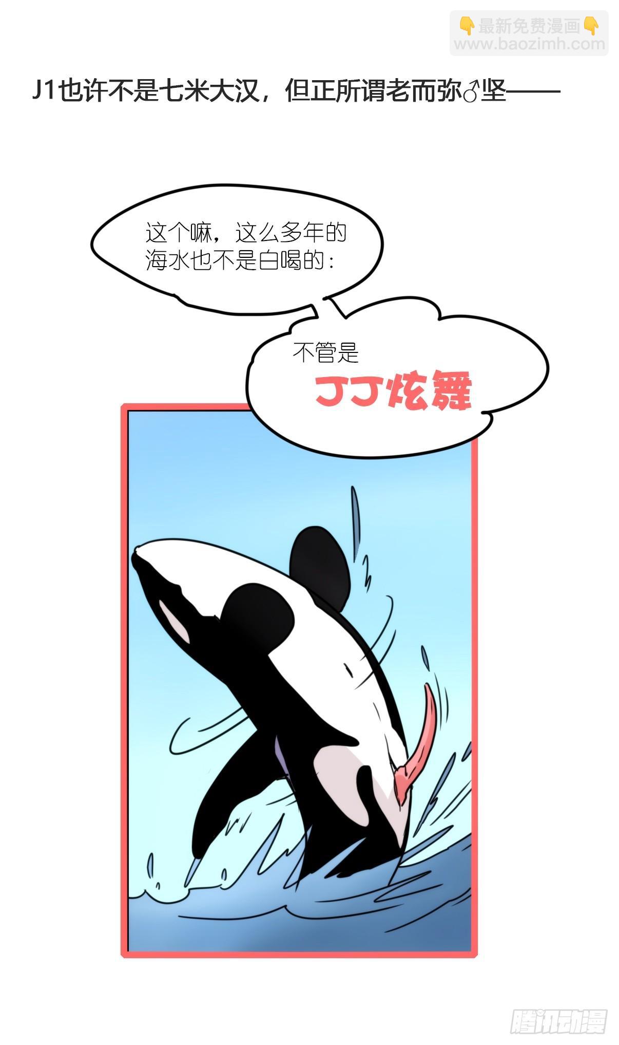 虎鲸篇：这些杀手不太冷03-第176话
