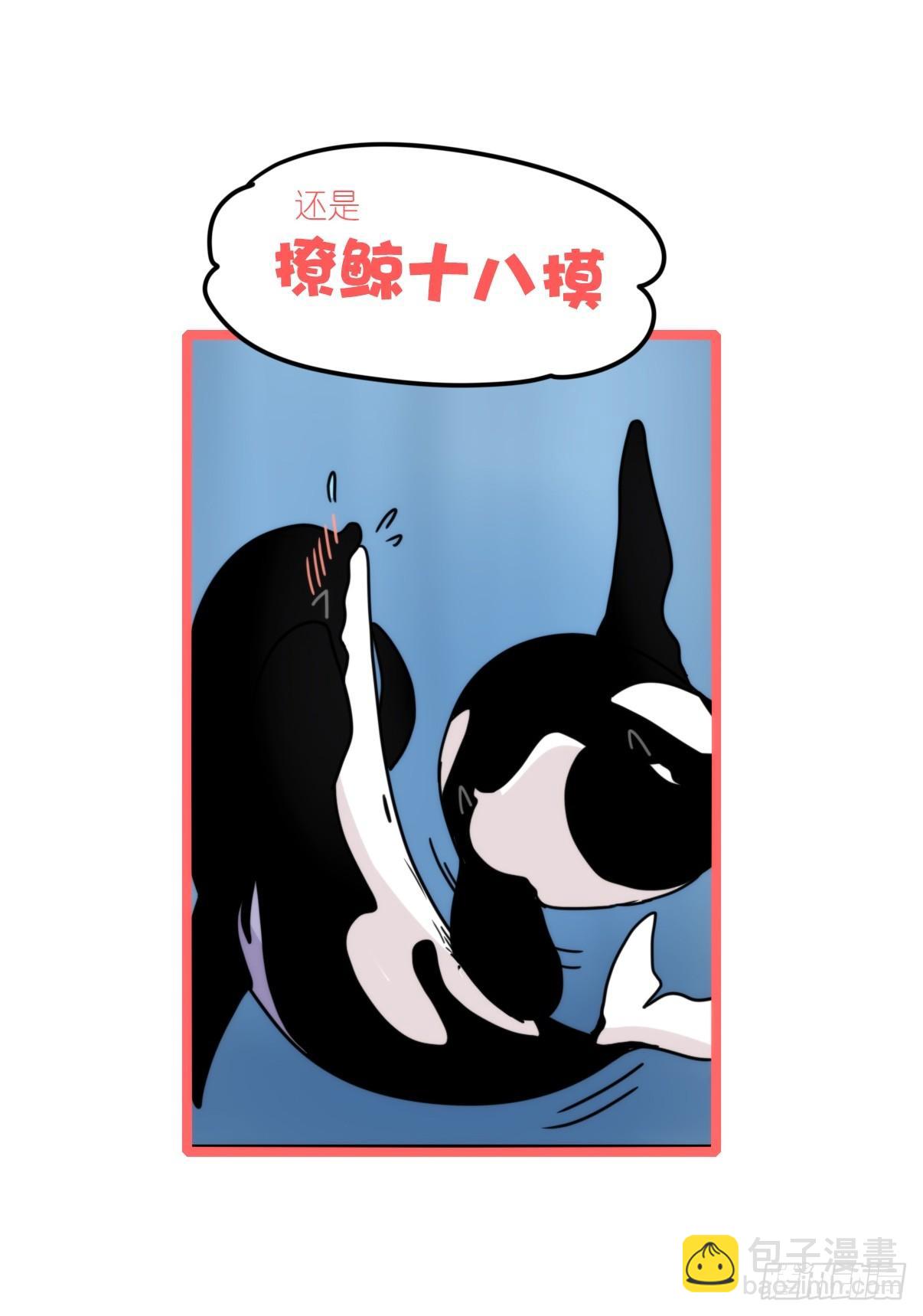 虎鲸篇：这些杀手不太冷03-第176话