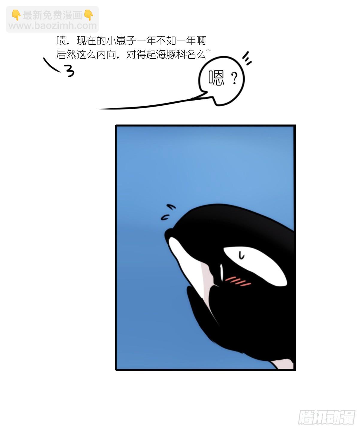 虎鲸篇：这些杀手不太冷03-第176话