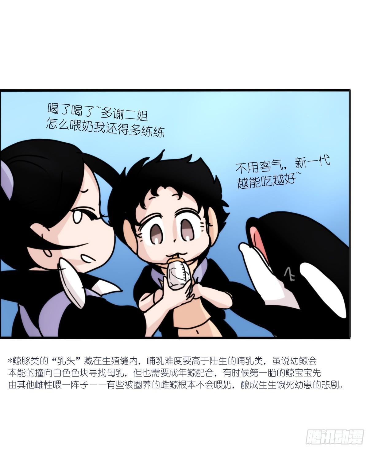 虎鲸篇：这些杀手不太冷03-第176话