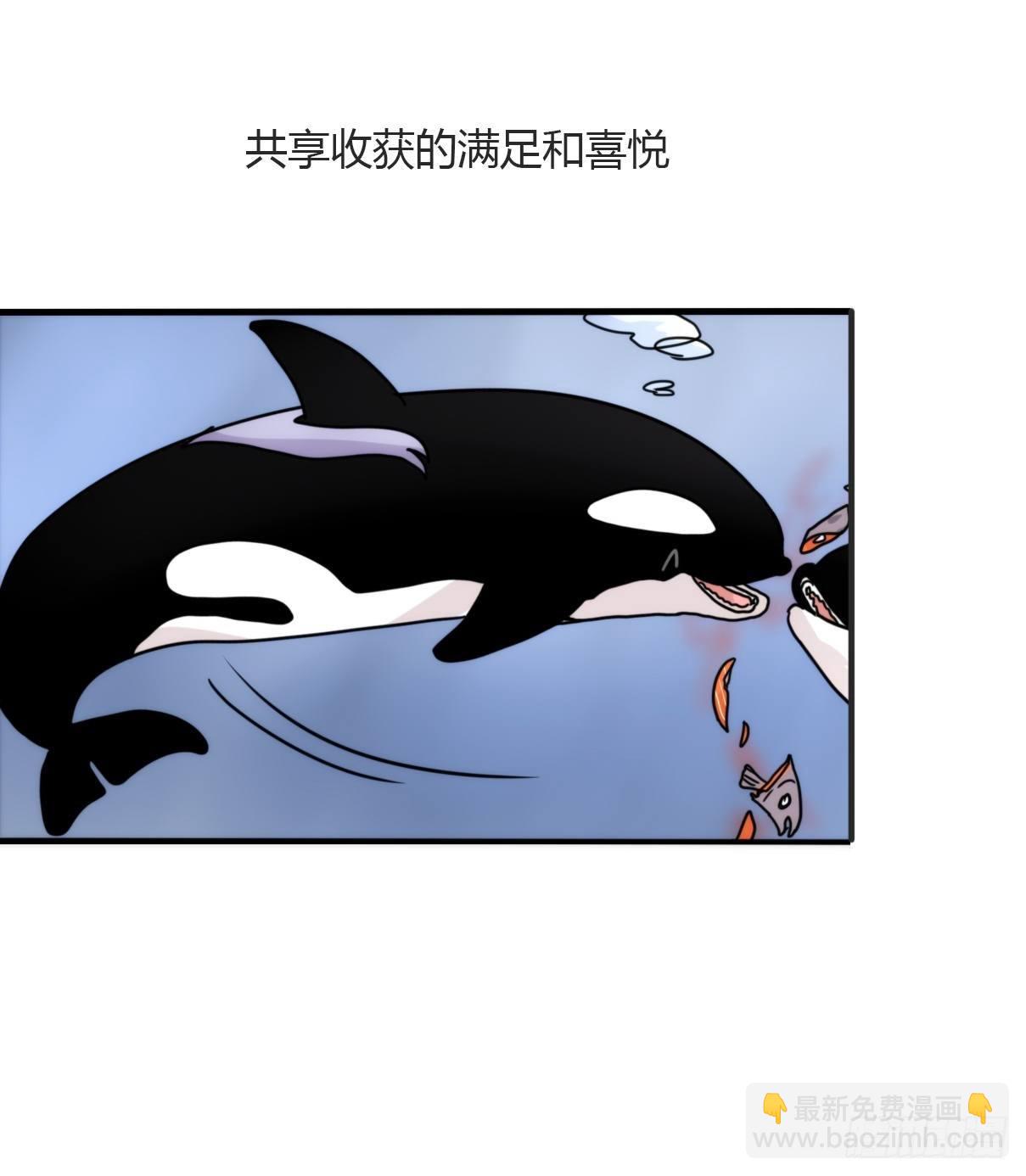 虎鲸篇：这些杀手不太冷05(1/2)-第178话